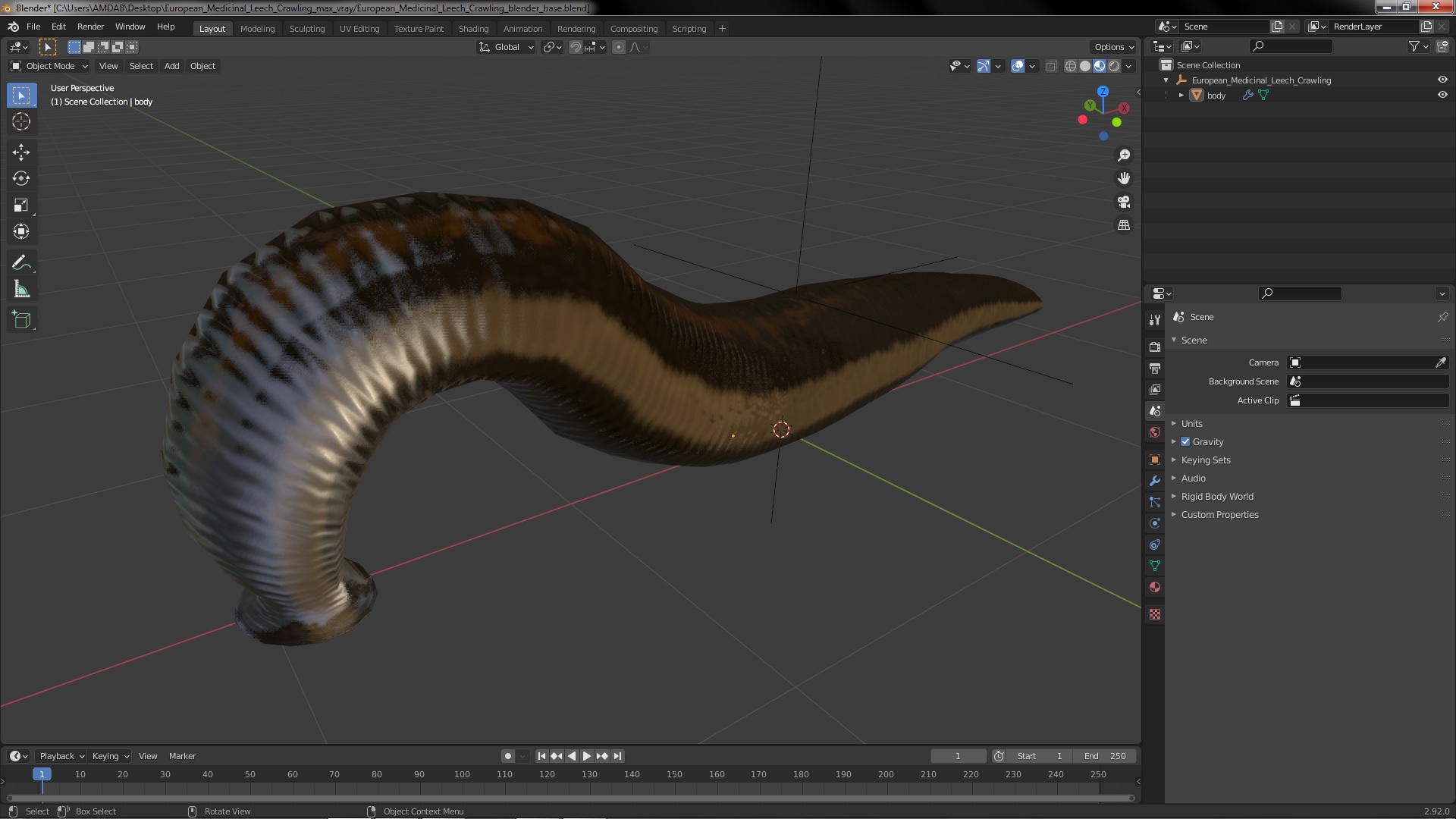 3D European Medicinal Leech Crawling model