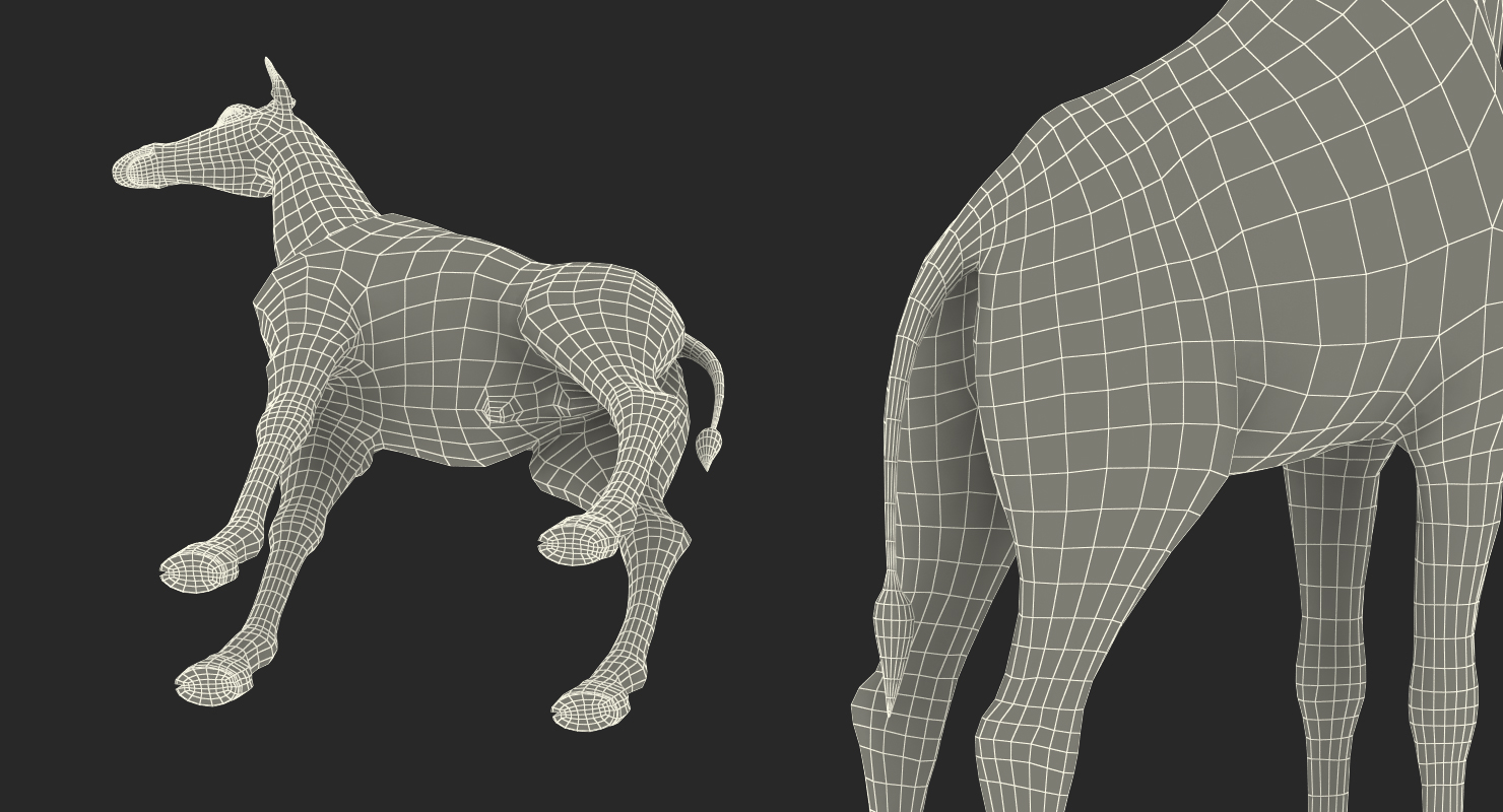 3D model African Giraffe