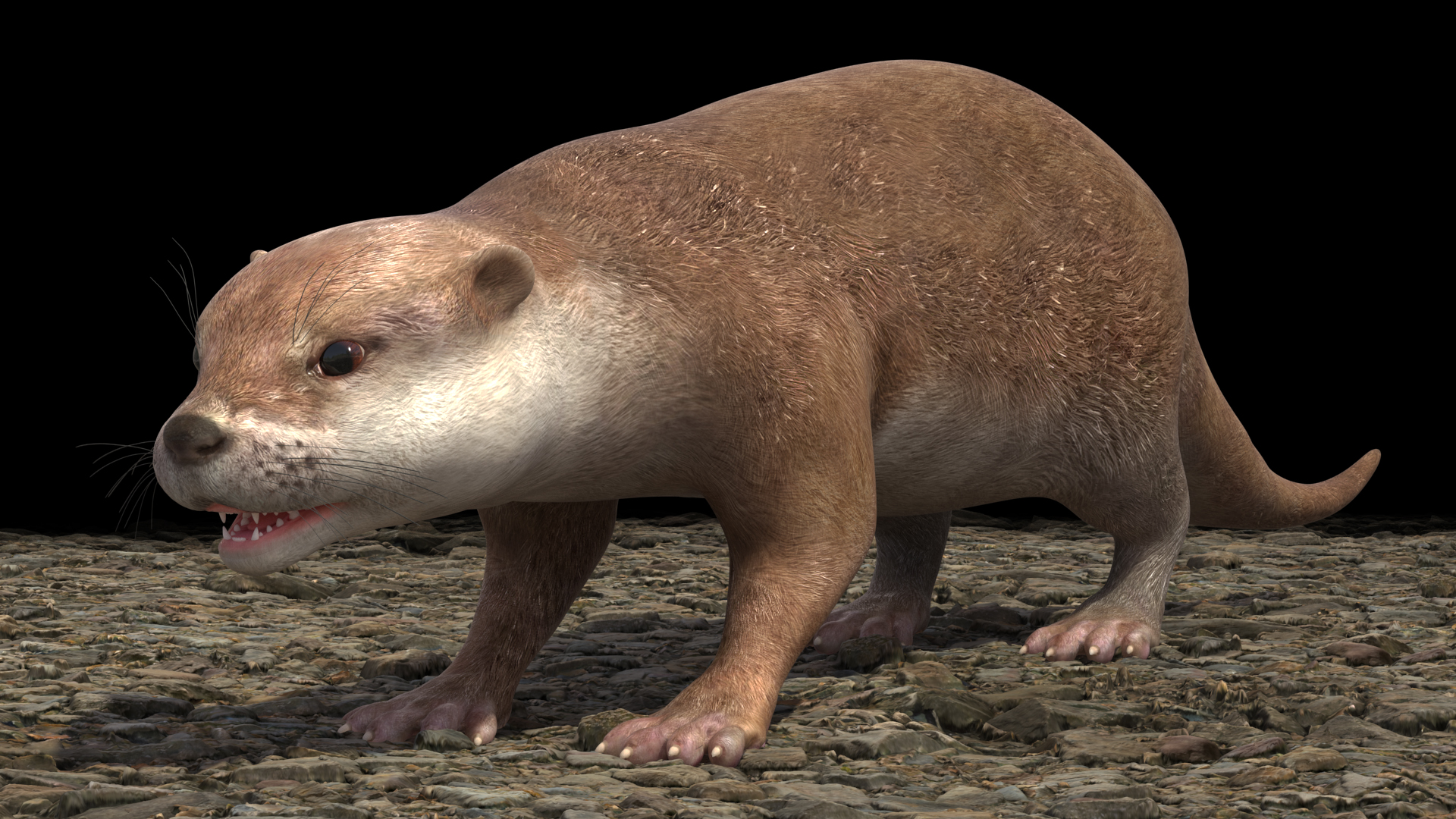 River Otter Basic Pose 3D