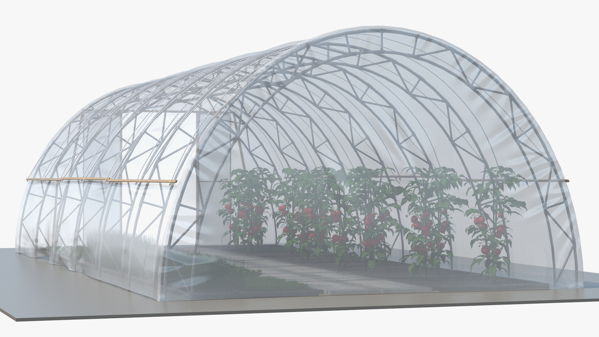 3D Greenhouse Tent with Vegetables