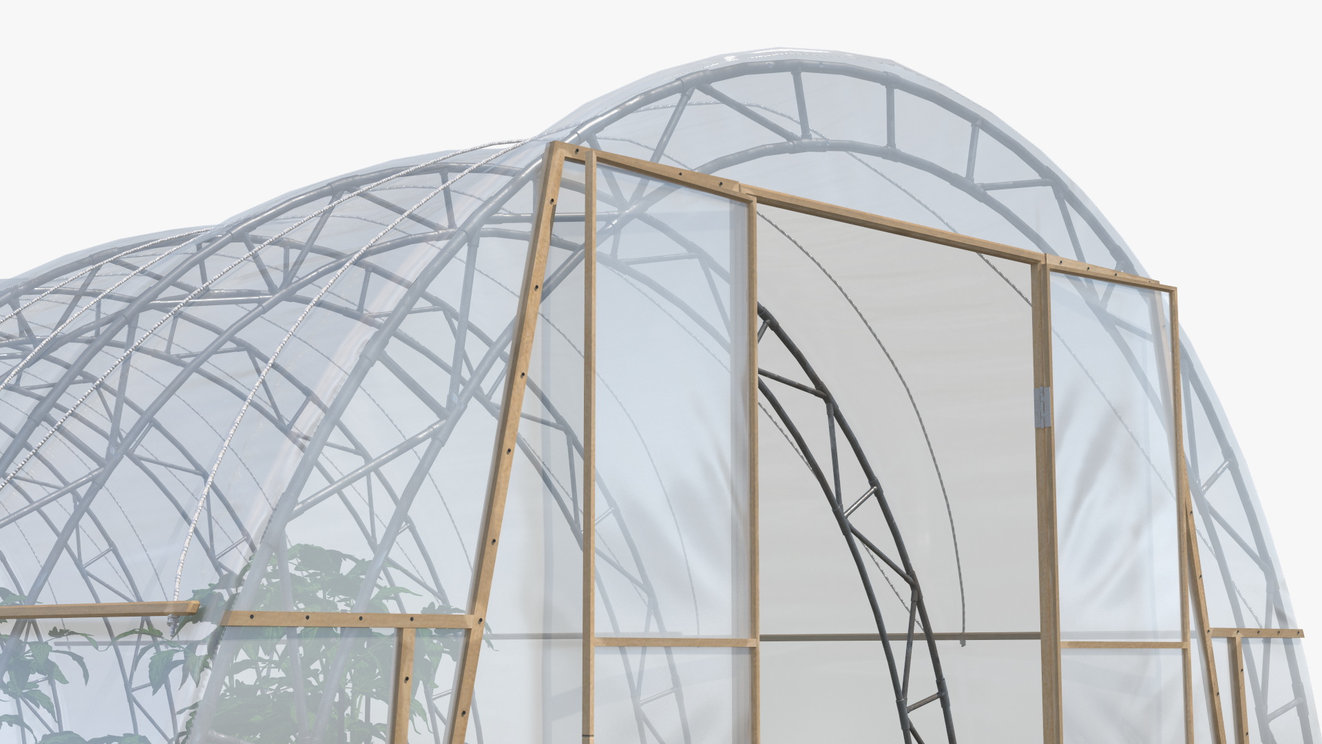 3D Greenhouse Tent with Vegetables