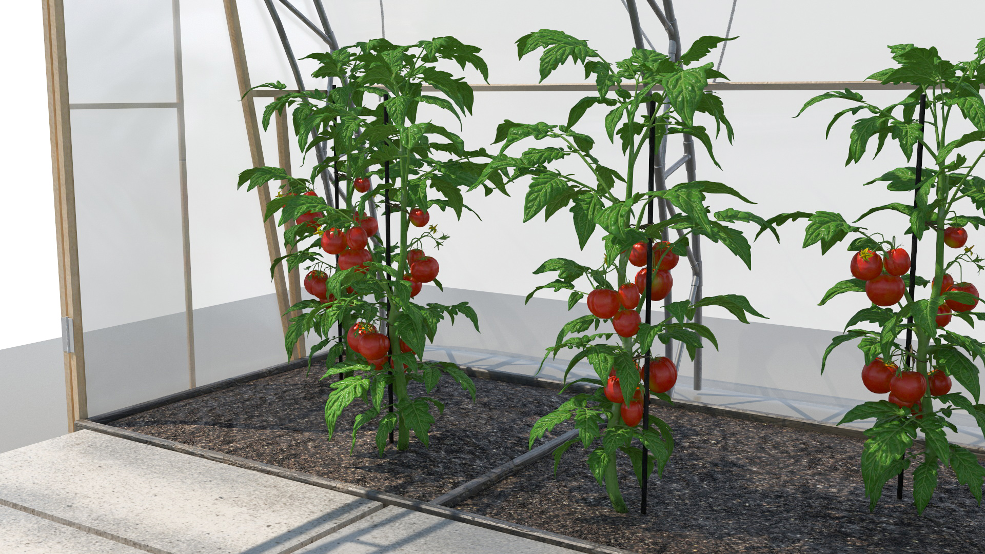 3D Greenhouse Tent with Vegetables