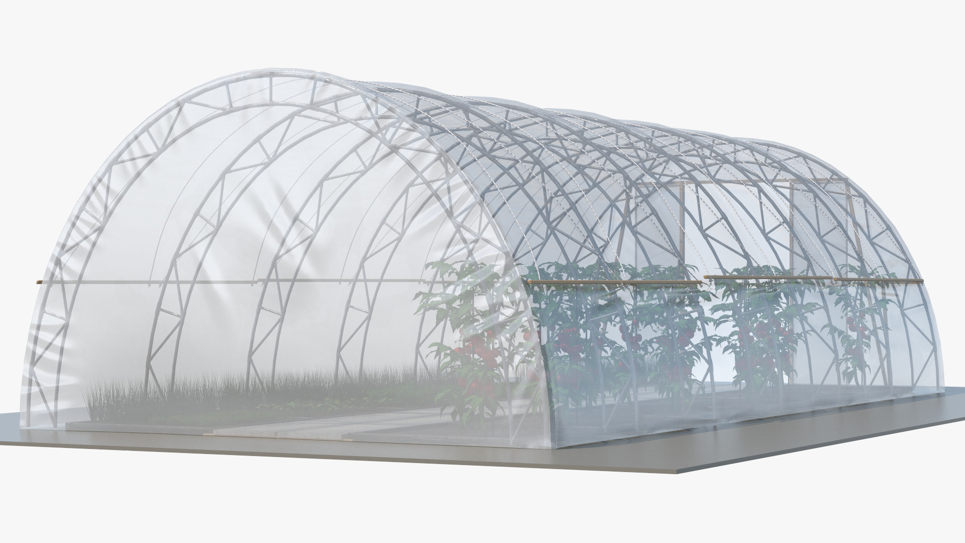 3D Greenhouse Tent with Vegetables