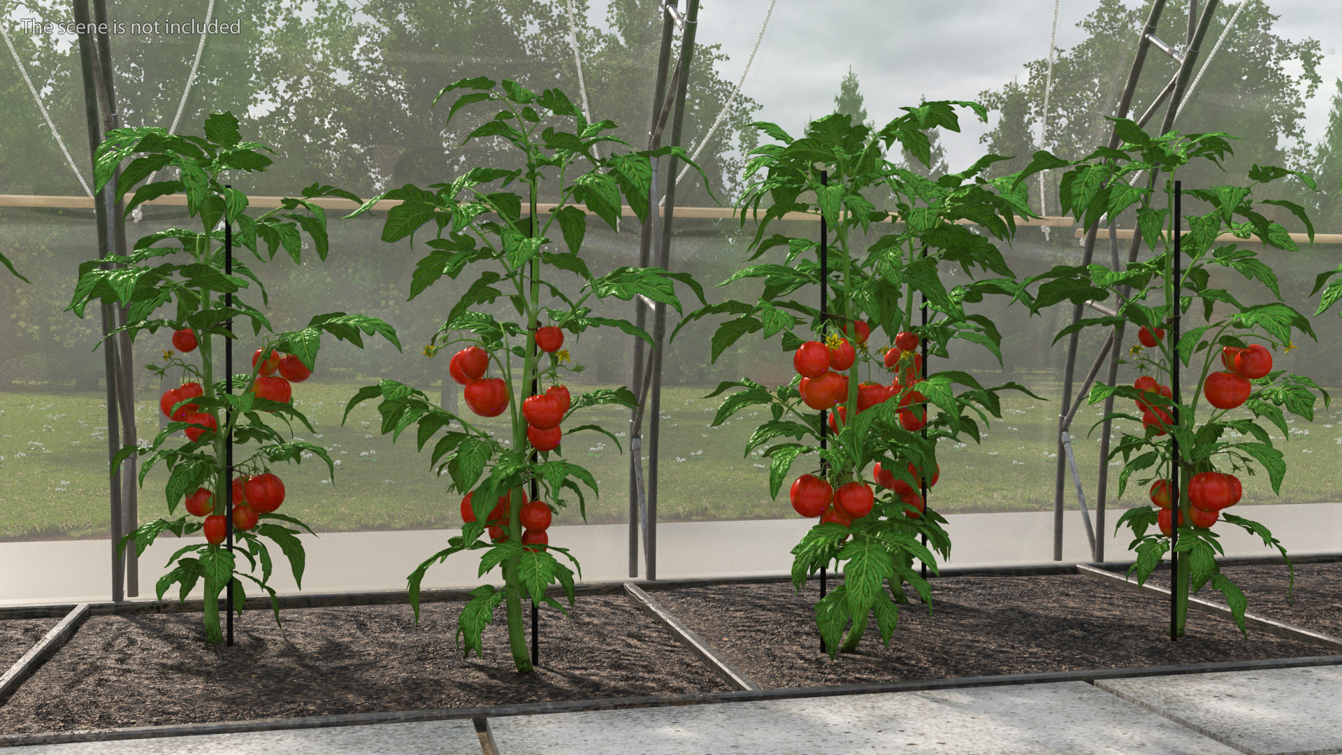 3D Greenhouse Tent with Vegetables