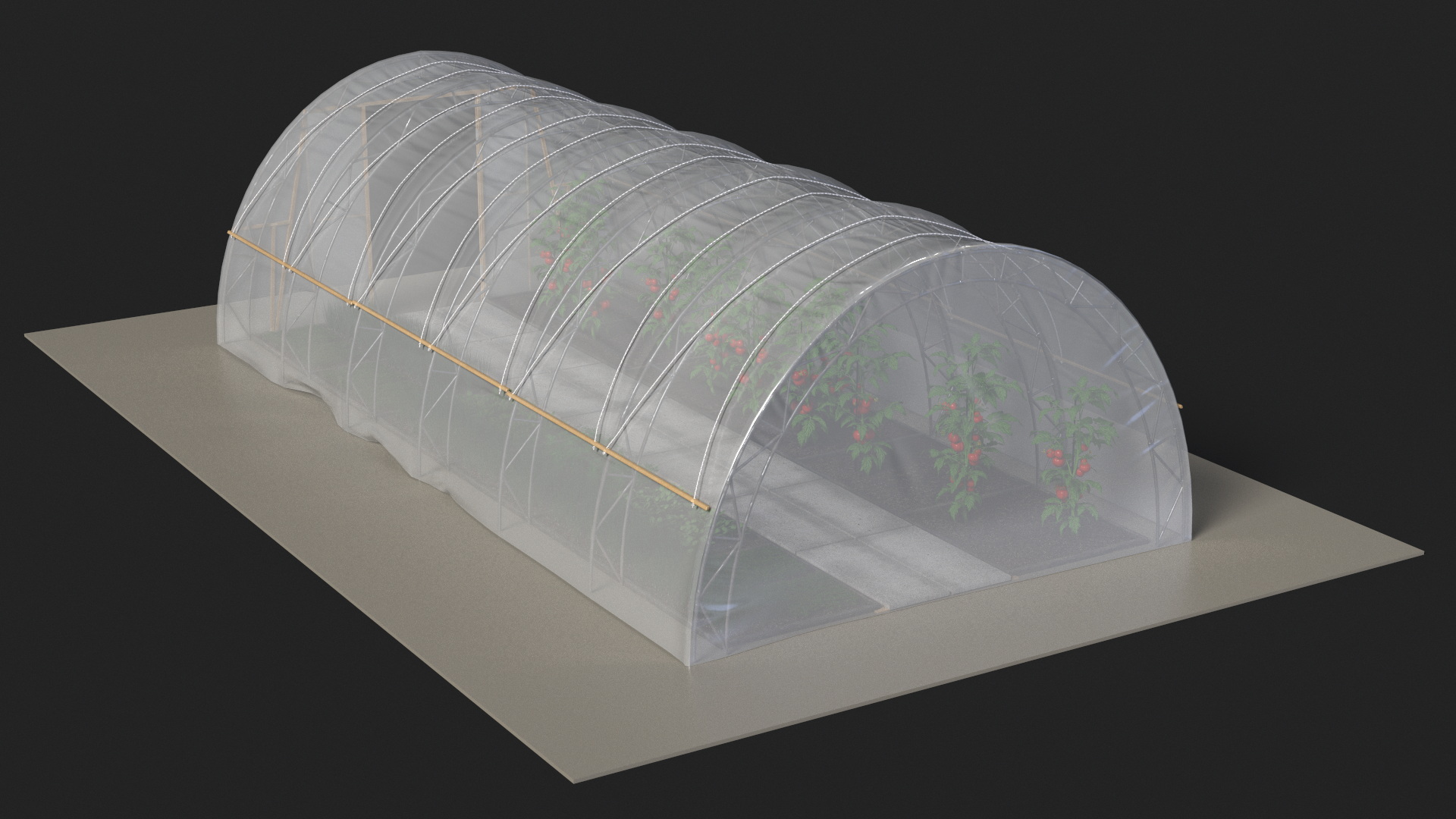 3D Greenhouse Tent with Vegetables