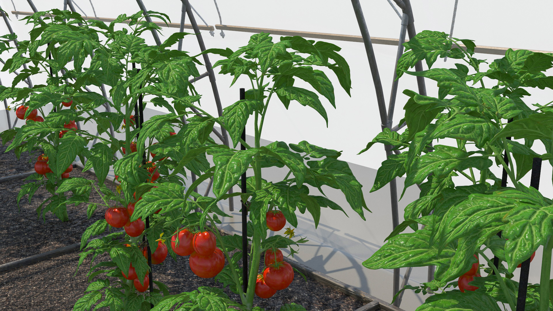 3D Greenhouse Tent with Vegetables