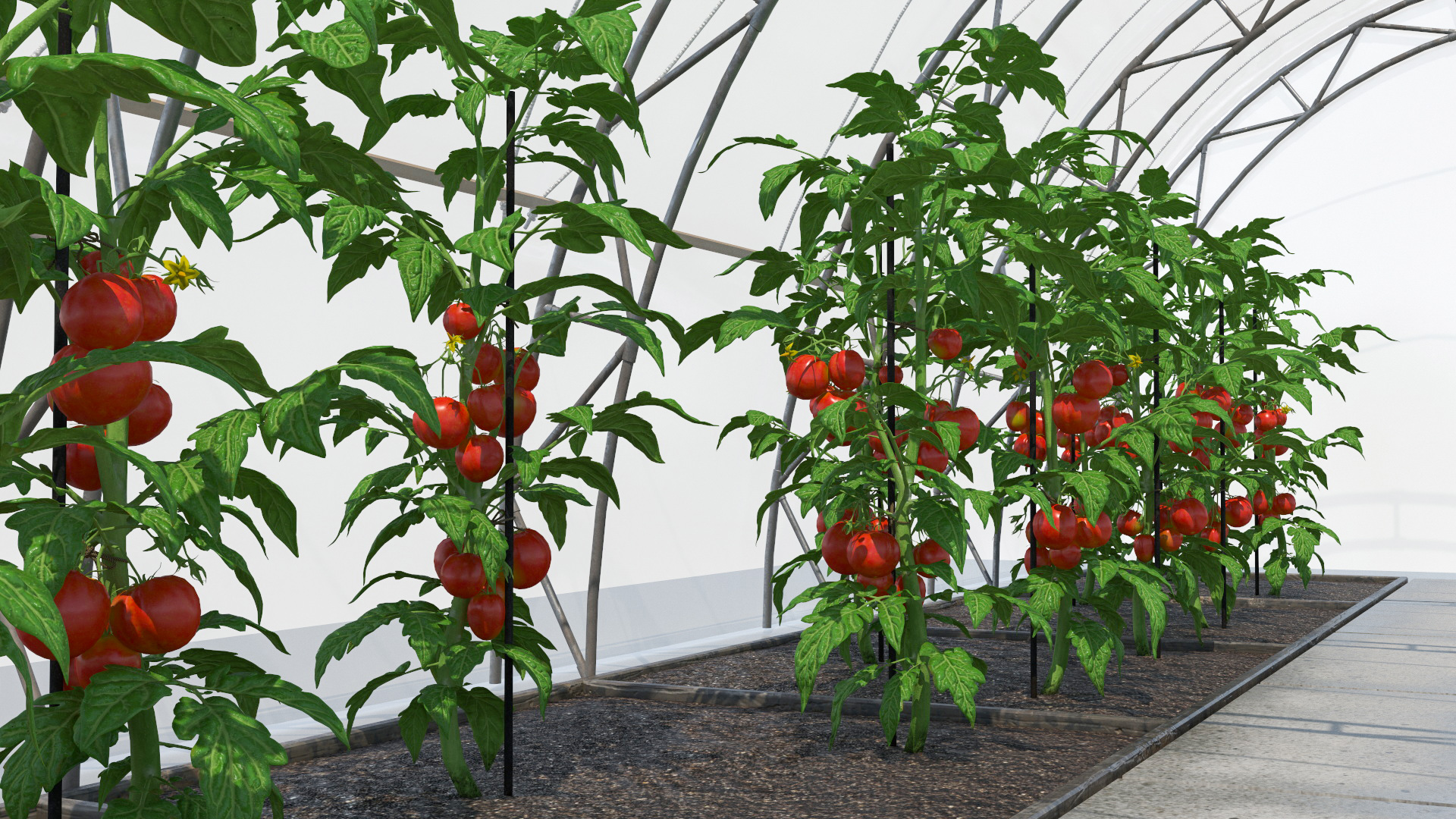 3D Greenhouse Tent with Vegetables