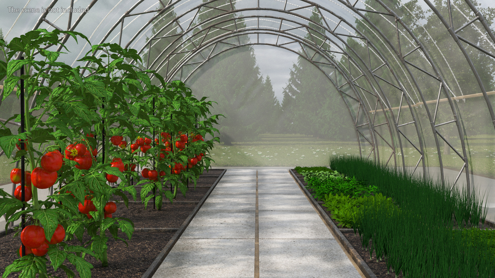 3D Greenhouse Tent with Vegetables