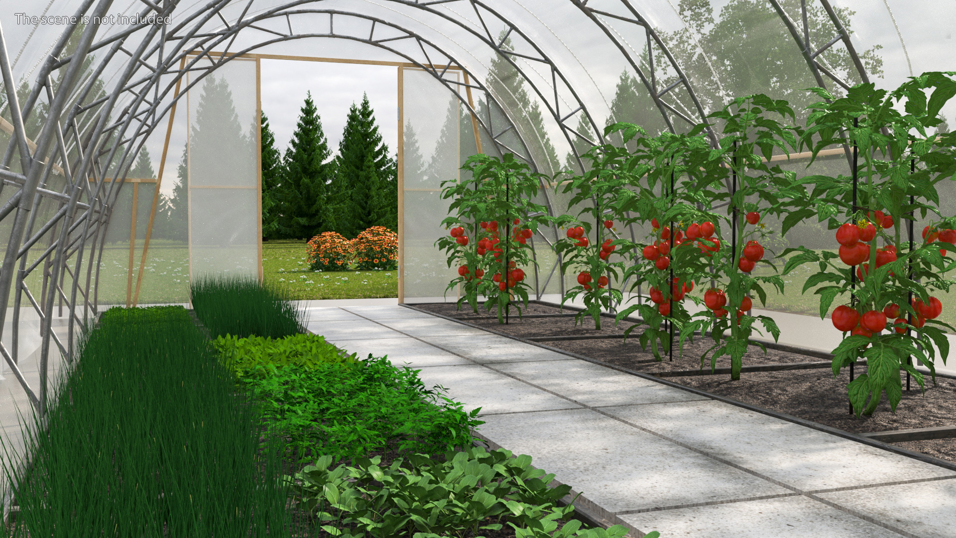 3D Greenhouse Tent with Vegetables