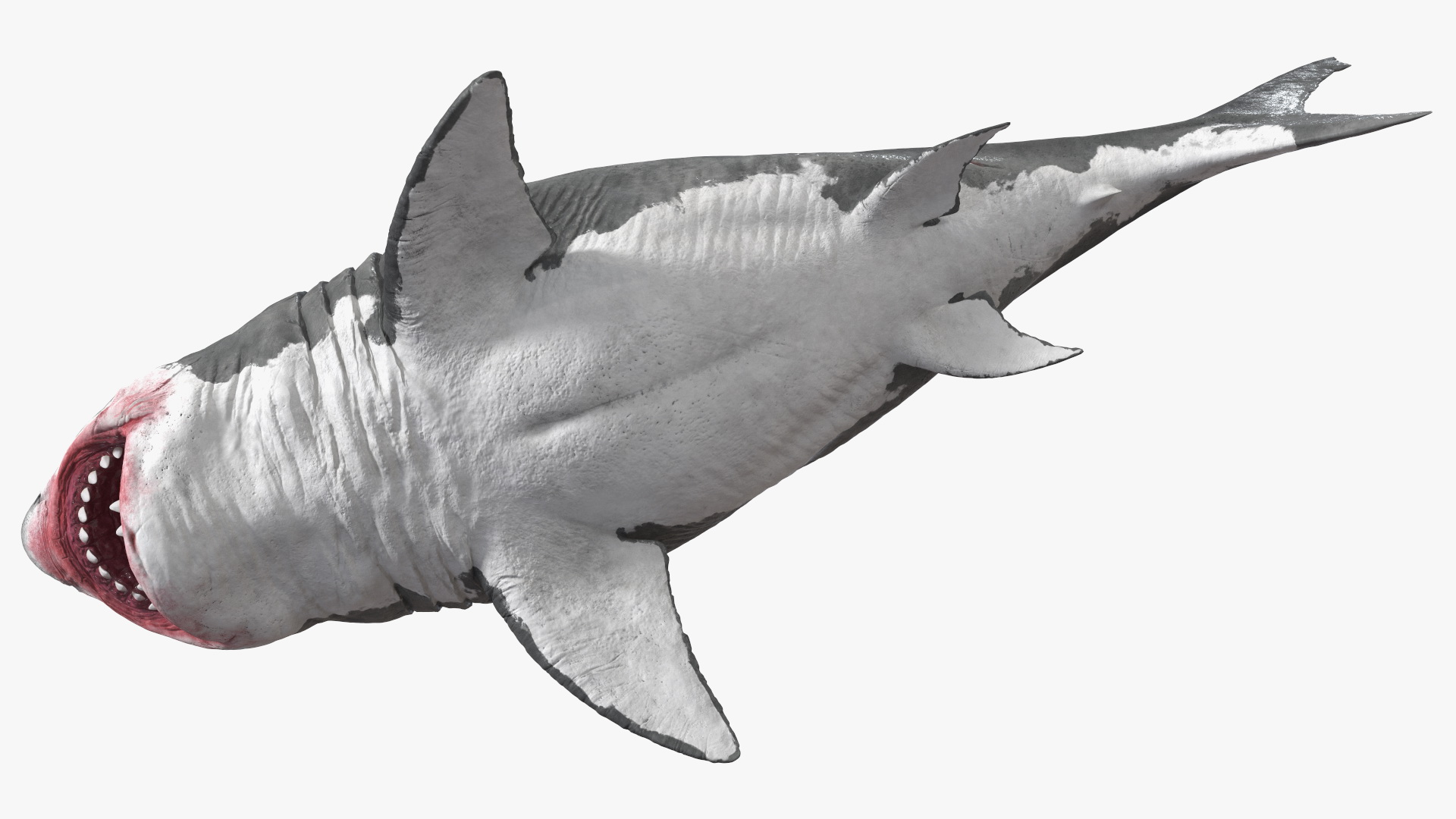 Megalodon Attacking Pose 3D model