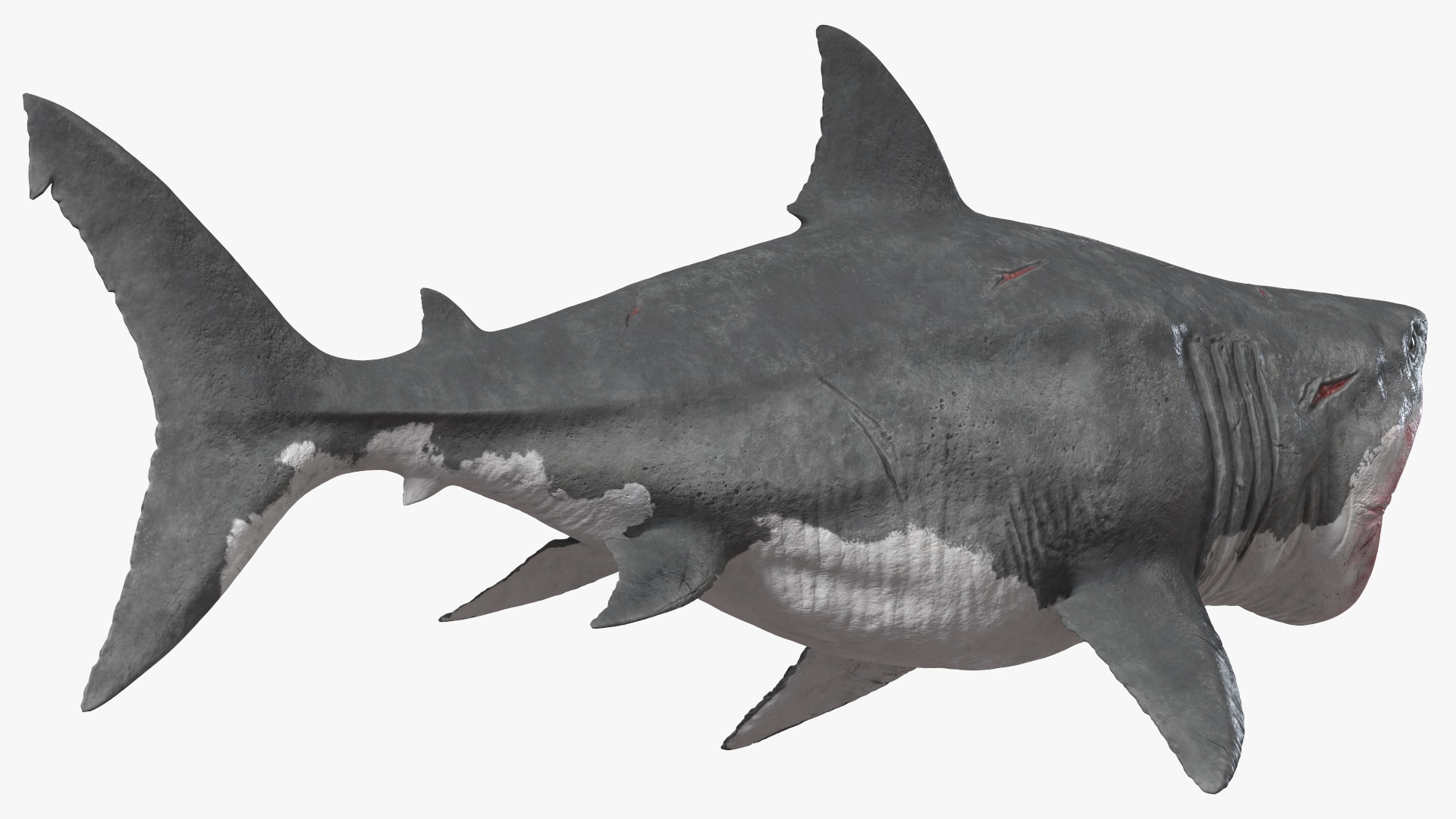 Megalodon Attacking Pose 3D model