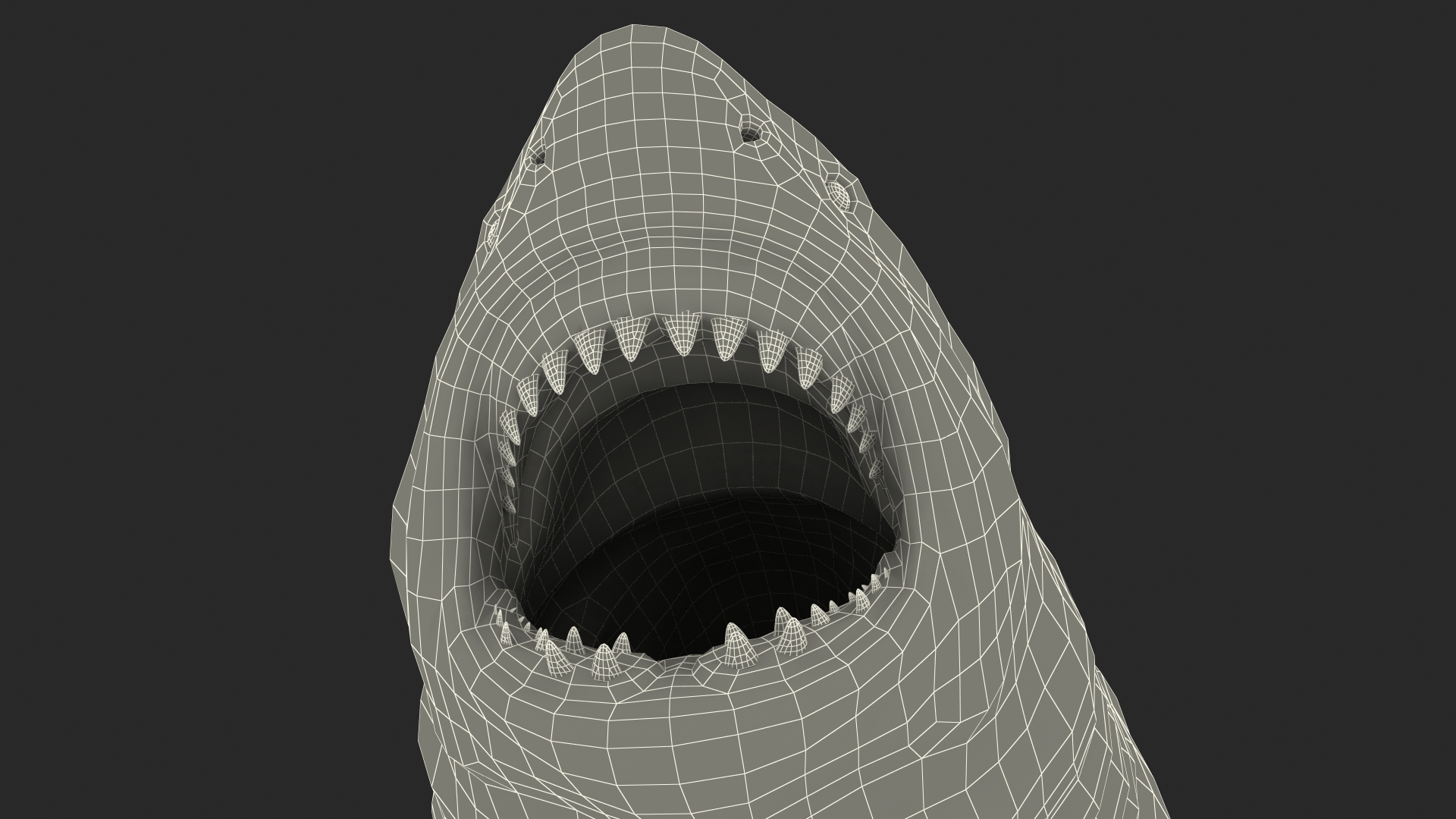 Megalodon Attacking Pose 3D model