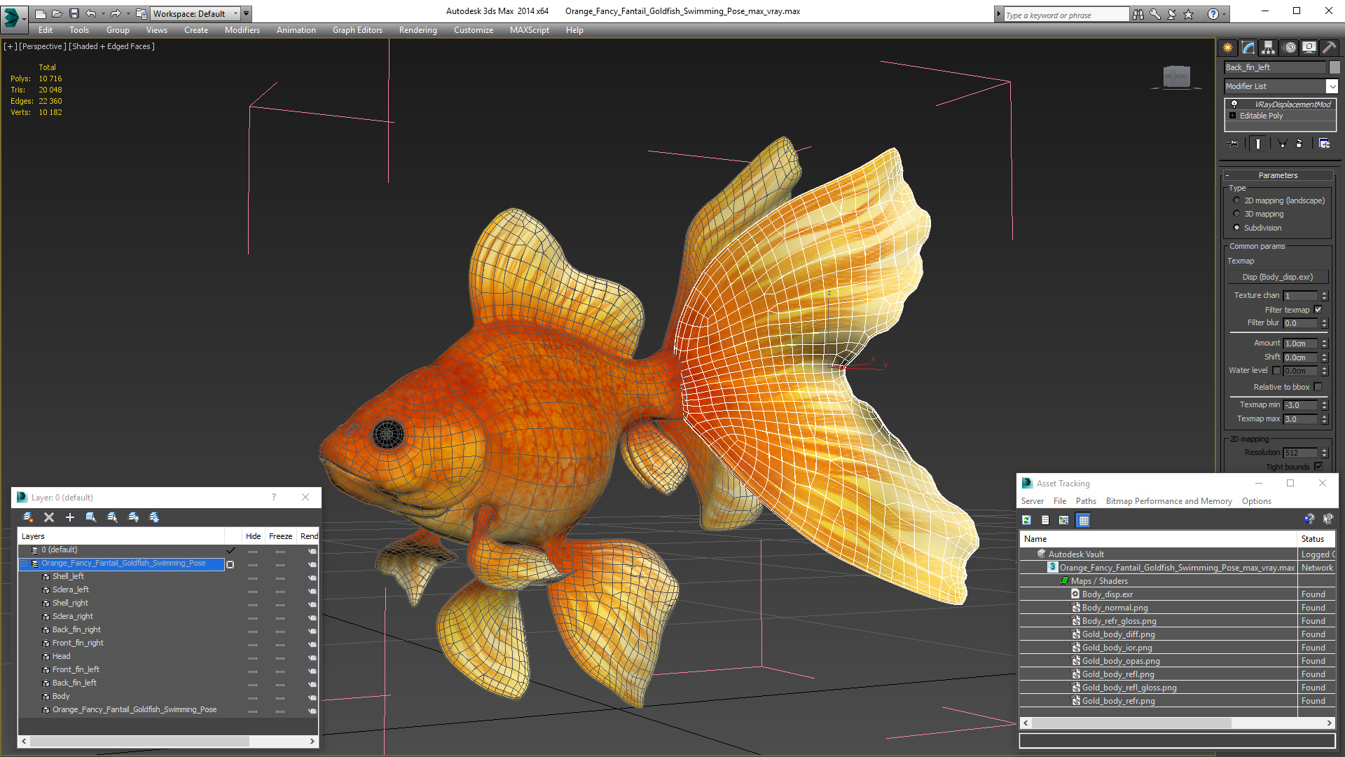 3D Orange Fancy Fantail Goldfish Swimming Pose model