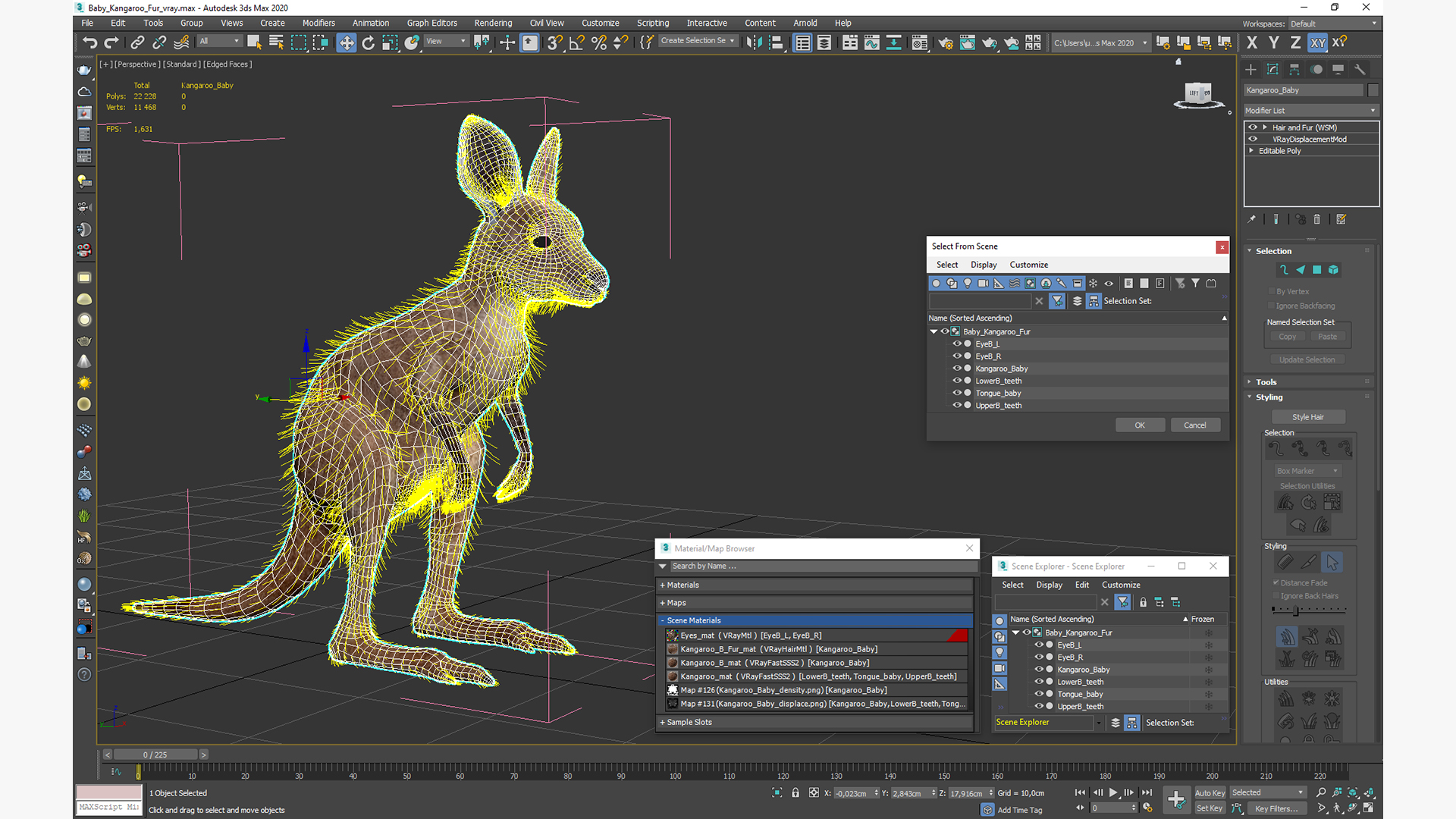 Baby Kangaroo Fur 3D