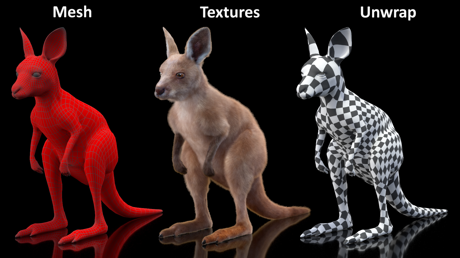 Baby Kangaroo Fur 3D