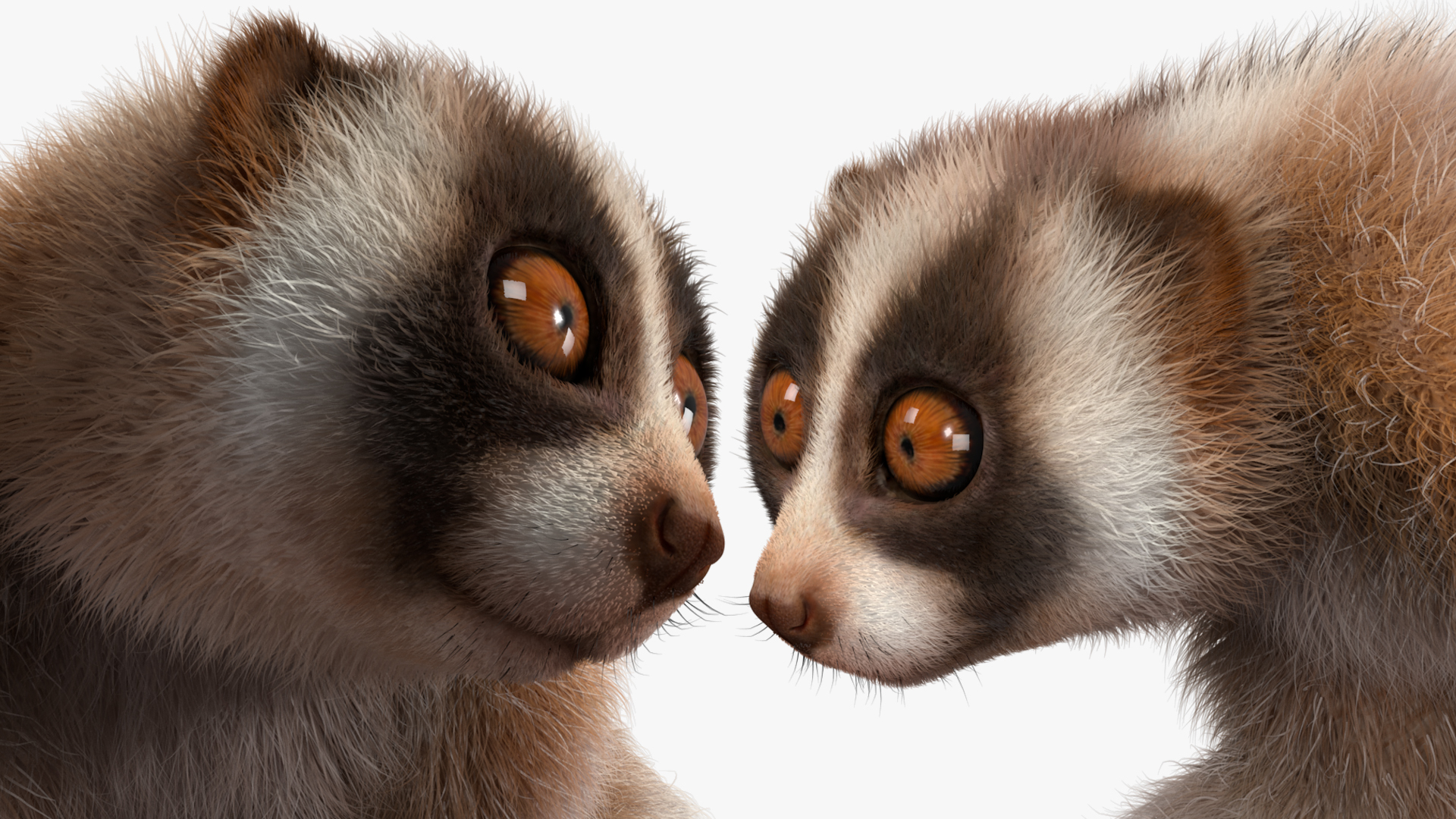 3D Bengal Slow Loris Fur Rigged model