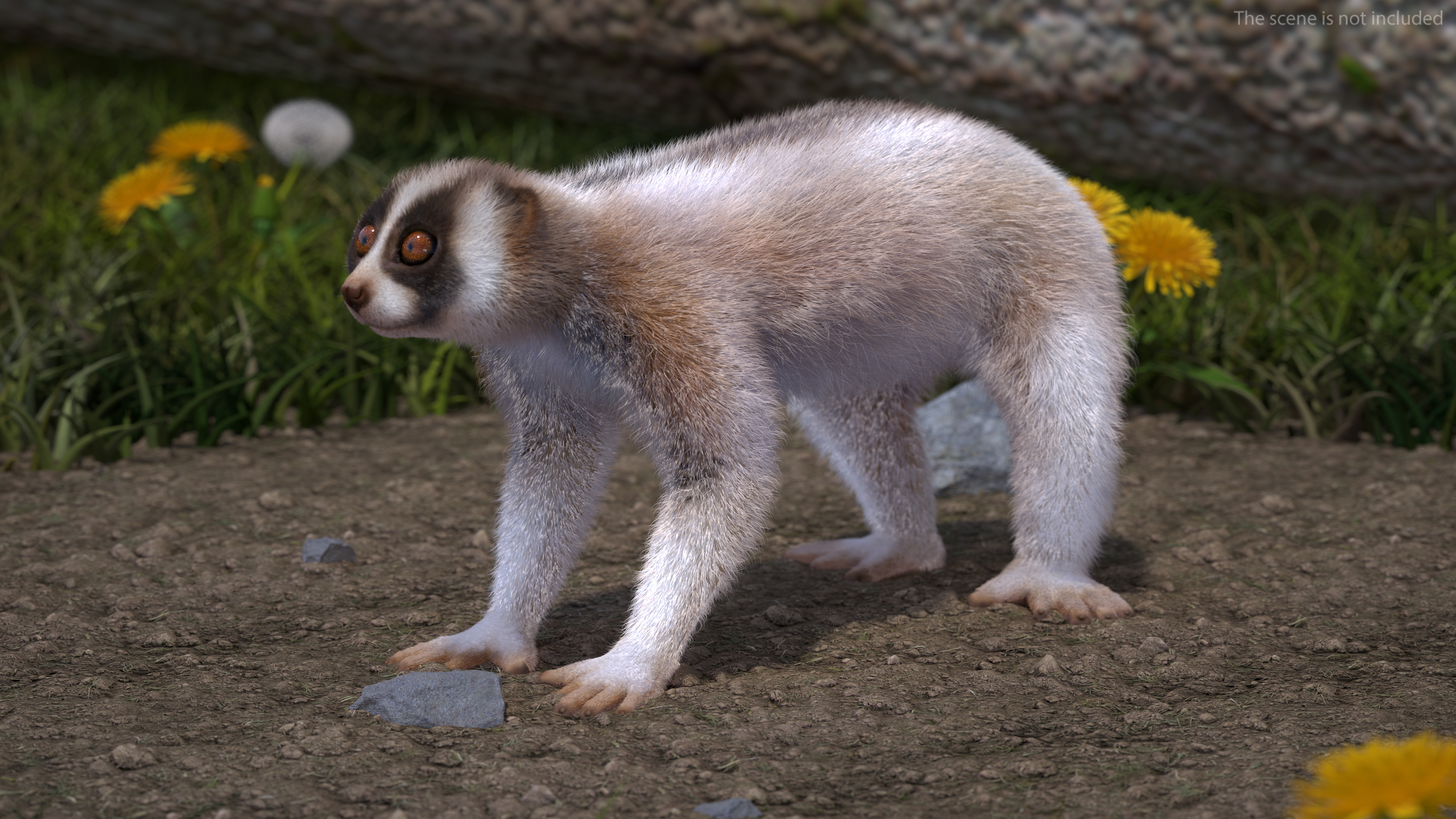 3D Bengal Slow Loris Fur Rigged model