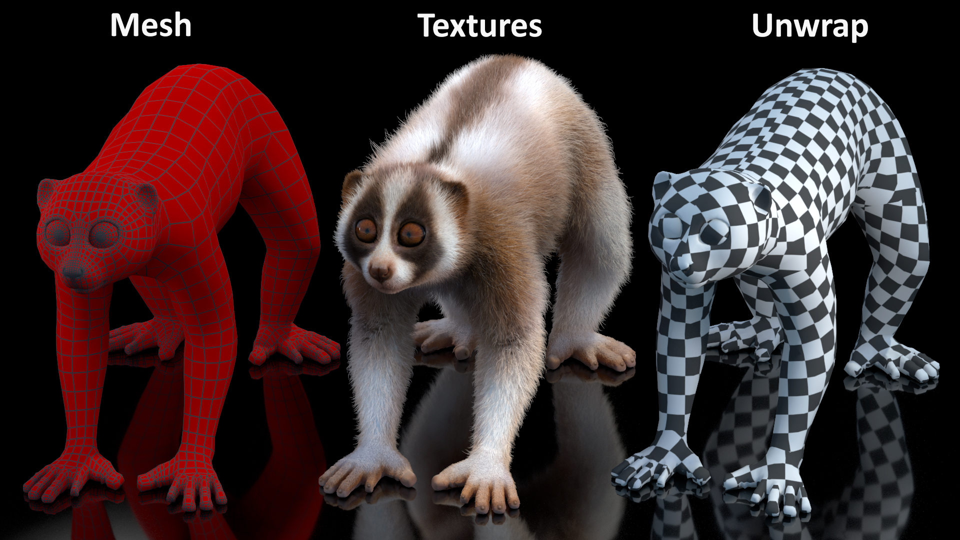 3D Bengal Slow Loris Fur Rigged model