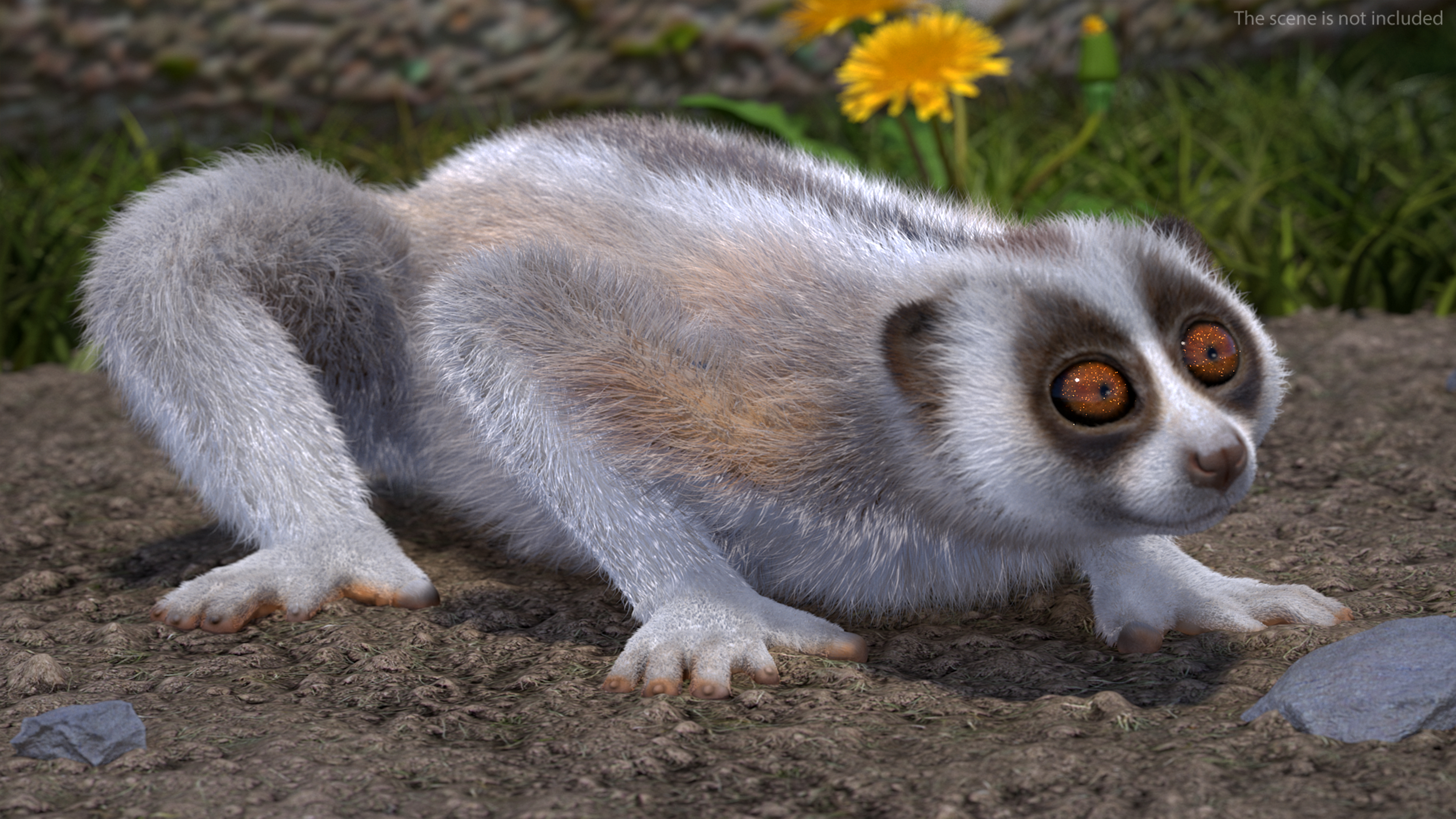 3D Bengal Slow Loris Fur Rigged model