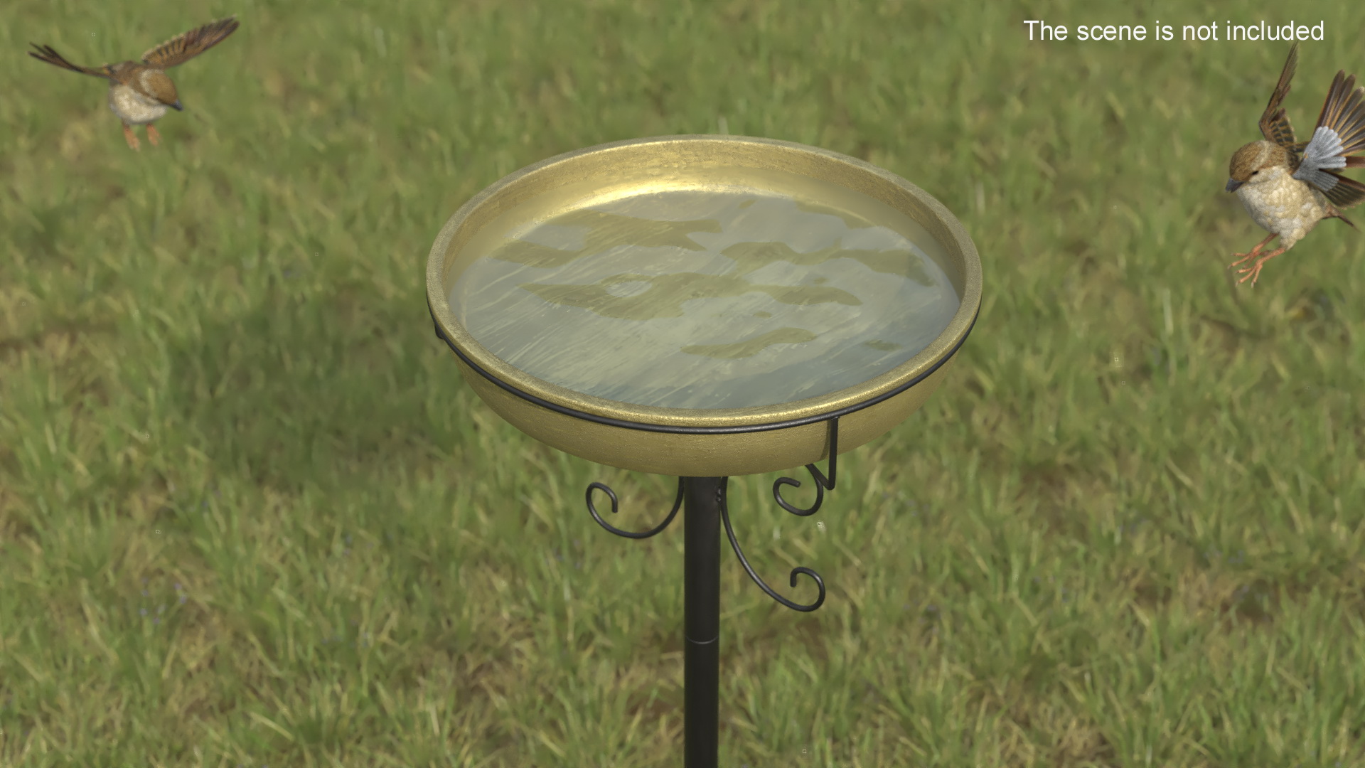 3D model Birdbath