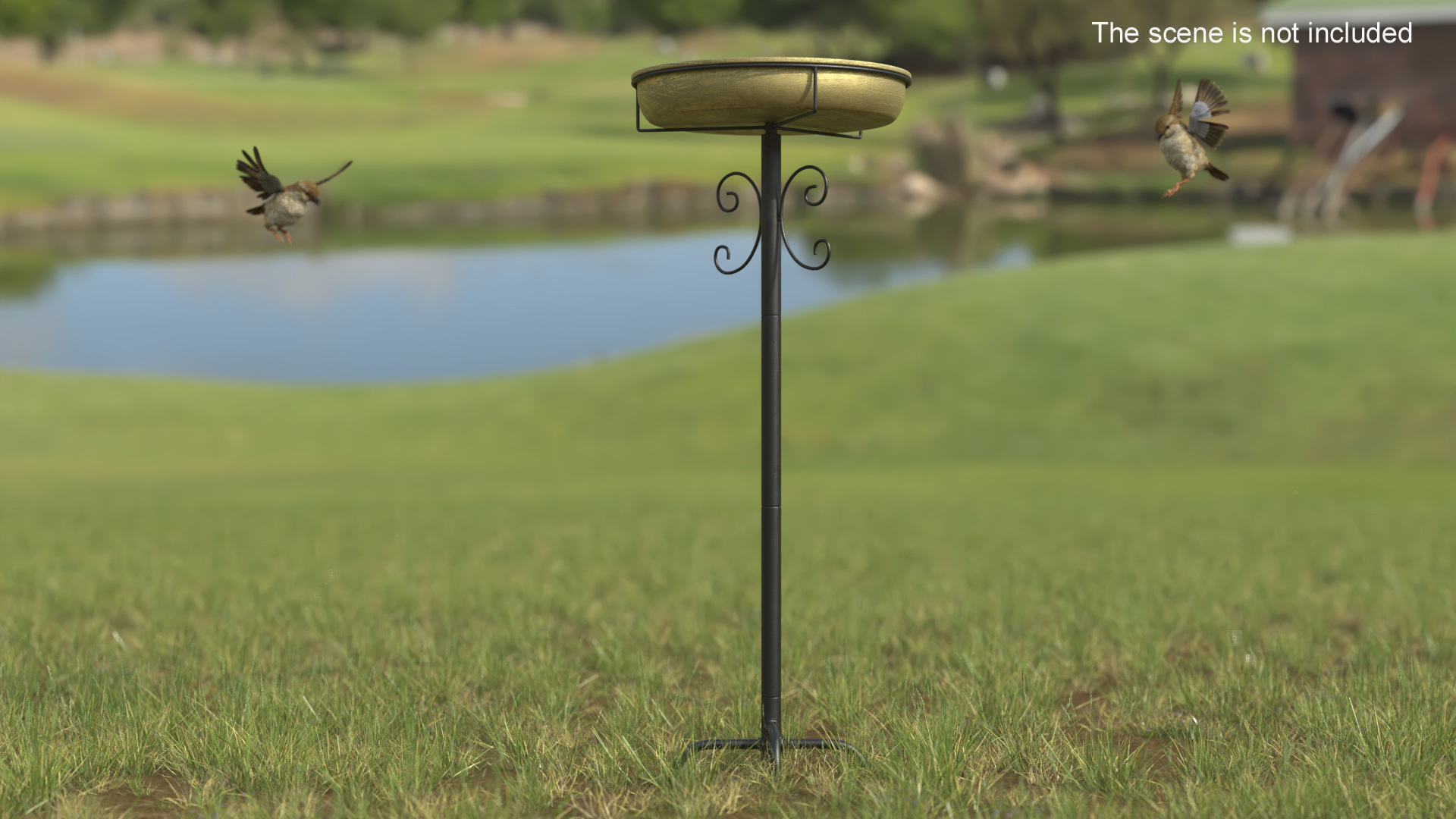 3D model Birdbath