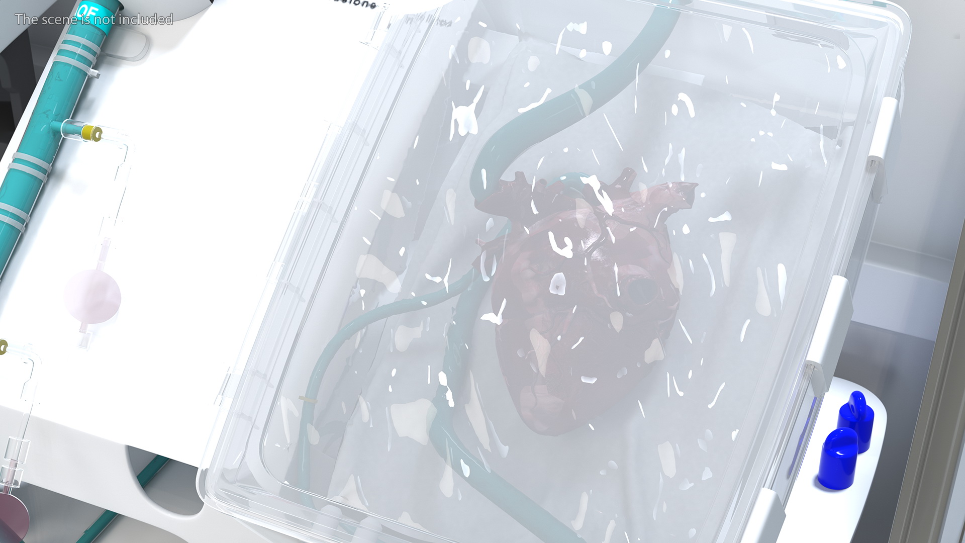 3D Organ Care System with Heart model