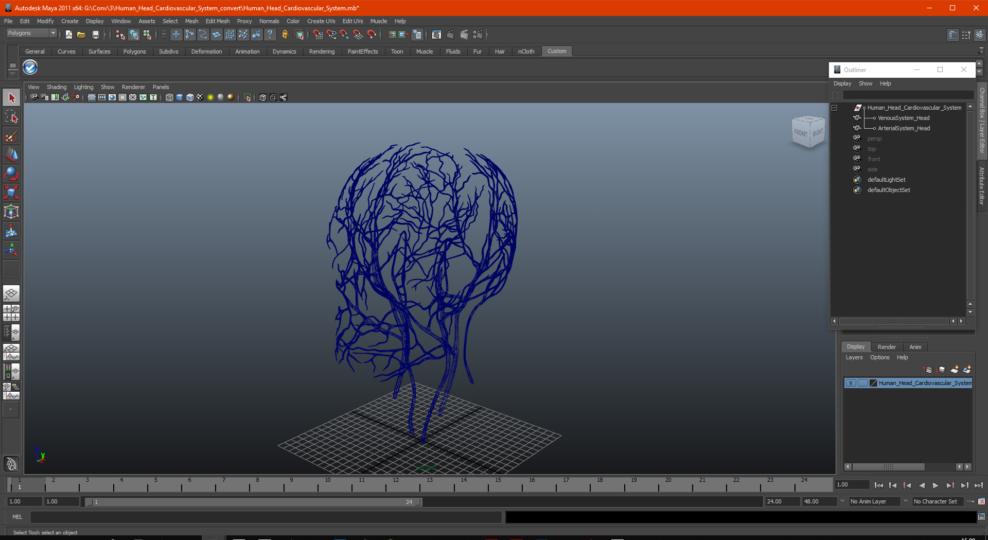 Human Head Cardiovascular System 3D