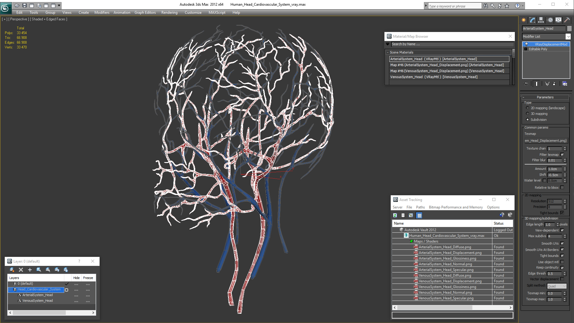 Human Head Cardiovascular System 3D