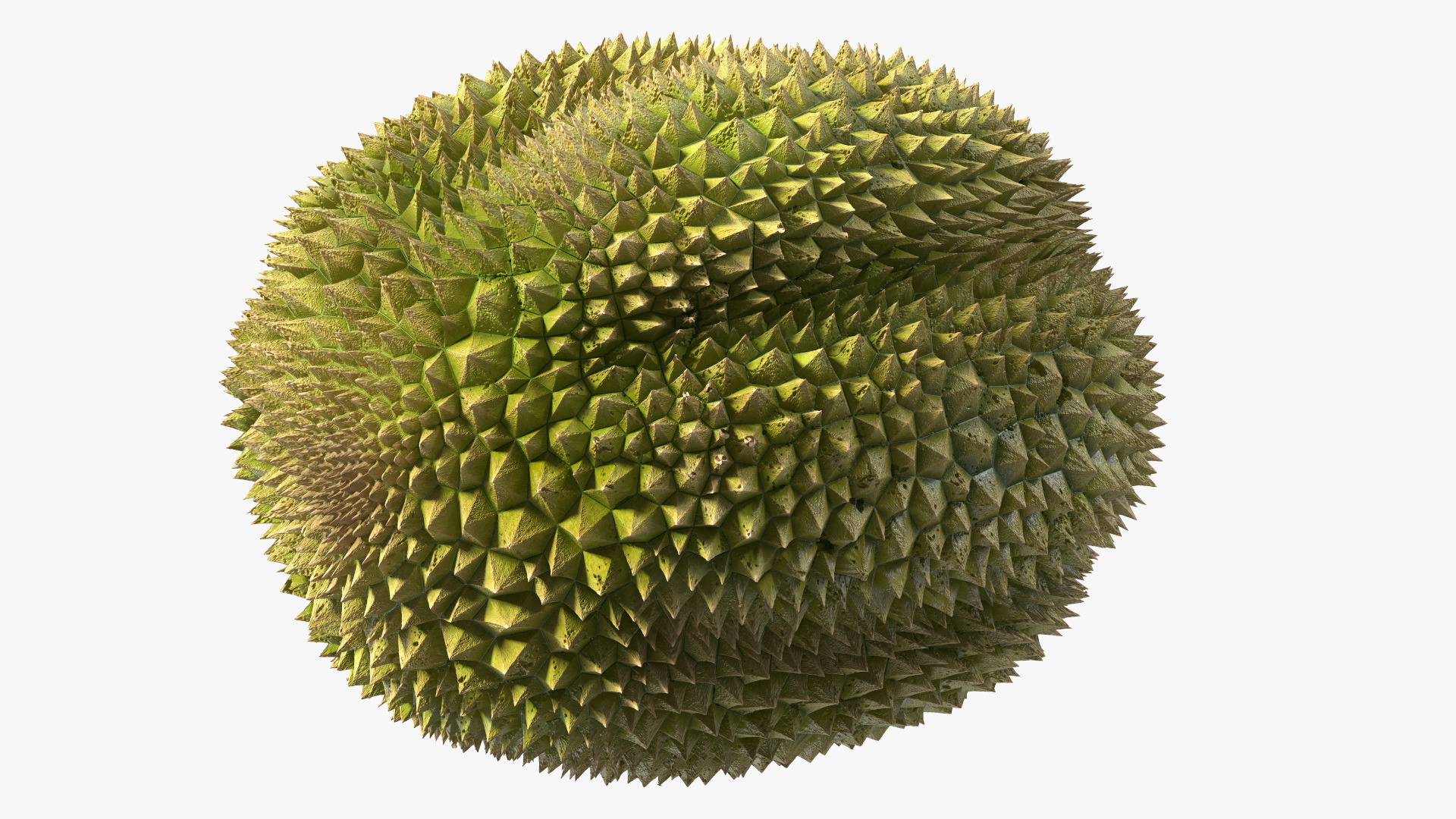 Ripe Durian Fruit 3D