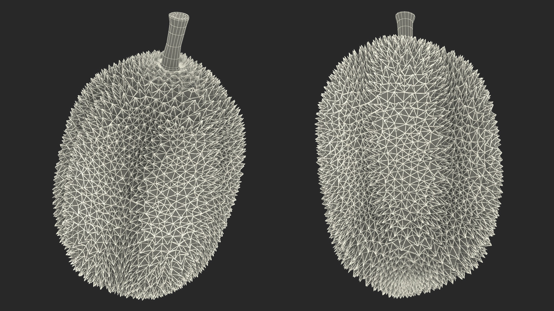 Ripe Durian Fruit 3D