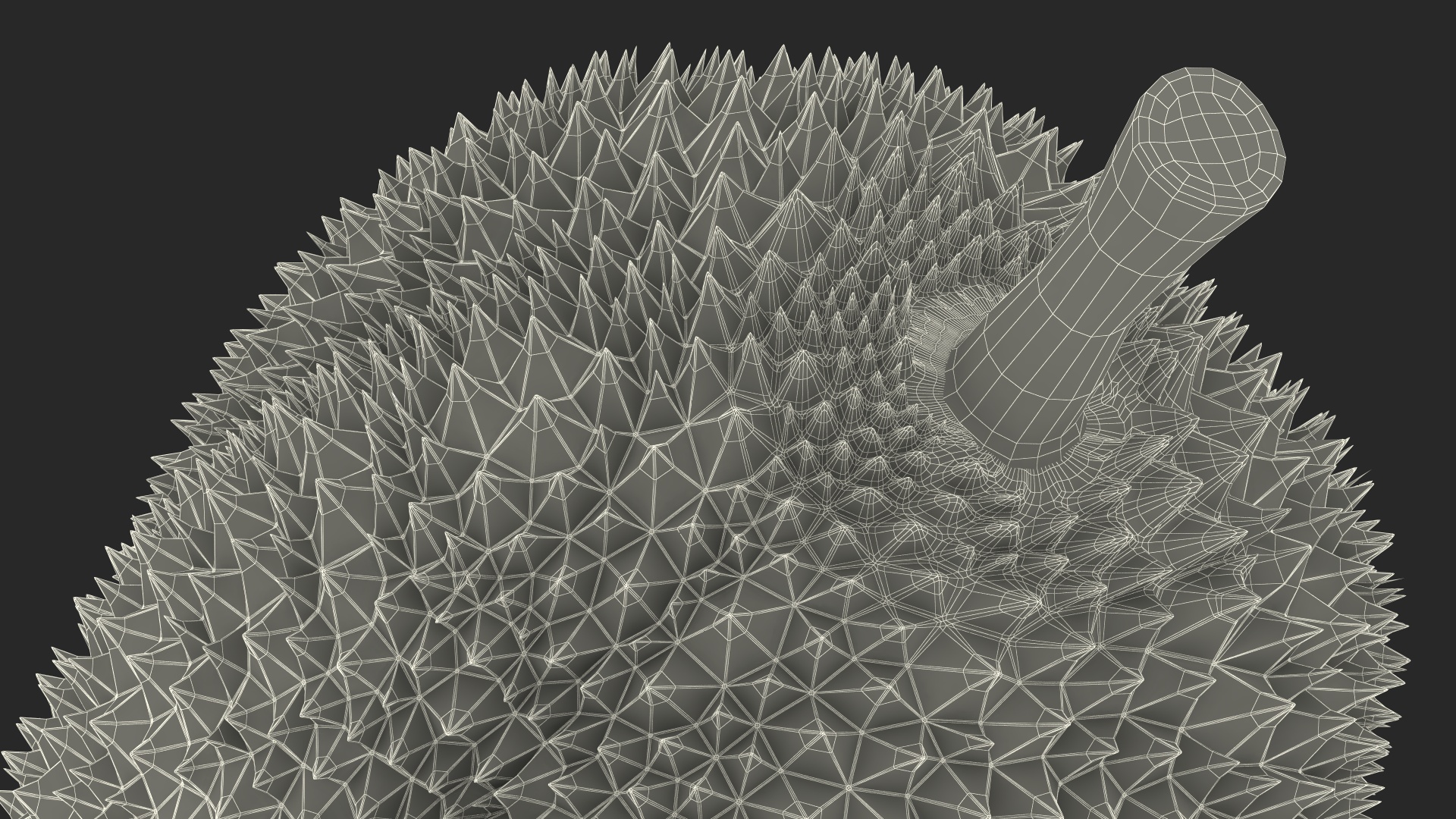 Ripe Durian Fruit 3D