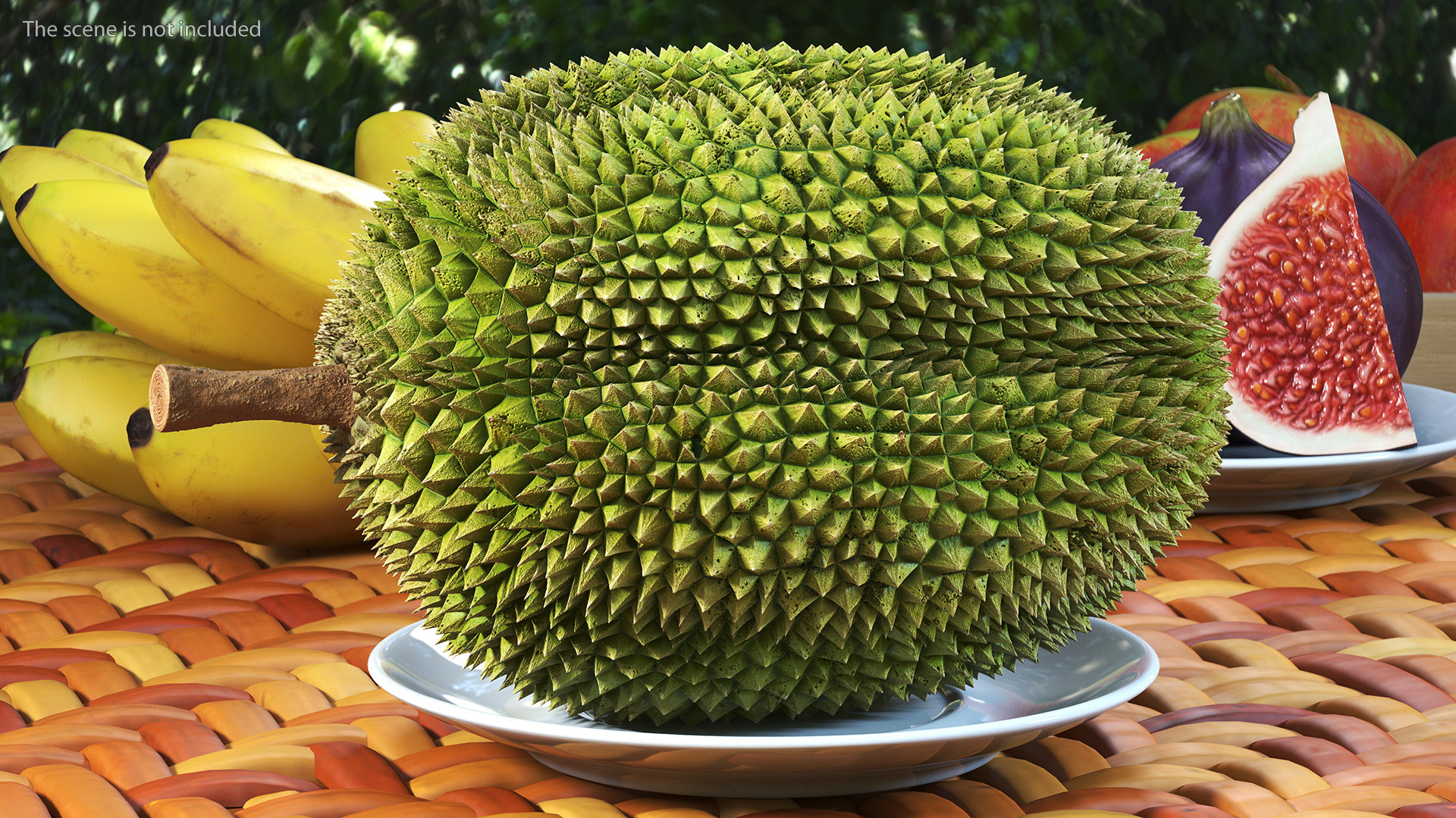 Ripe Durian Fruit 3D