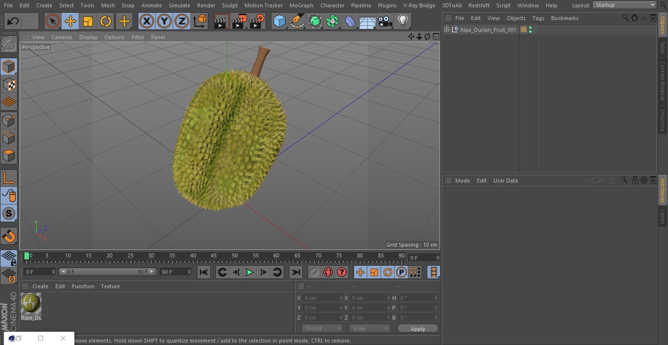 Ripe Durian Fruit 3D