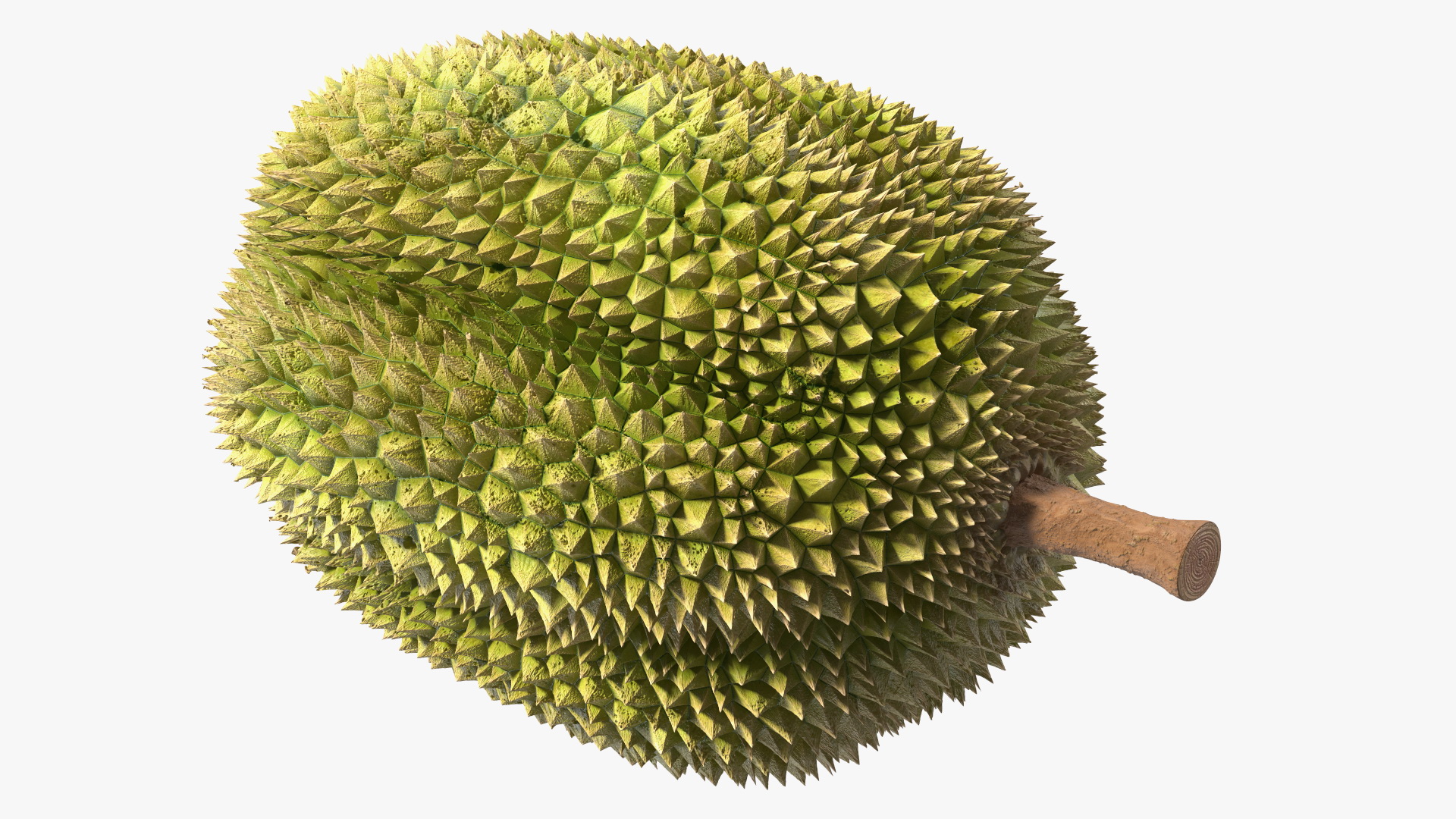 Ripe Durian Fruit 3D