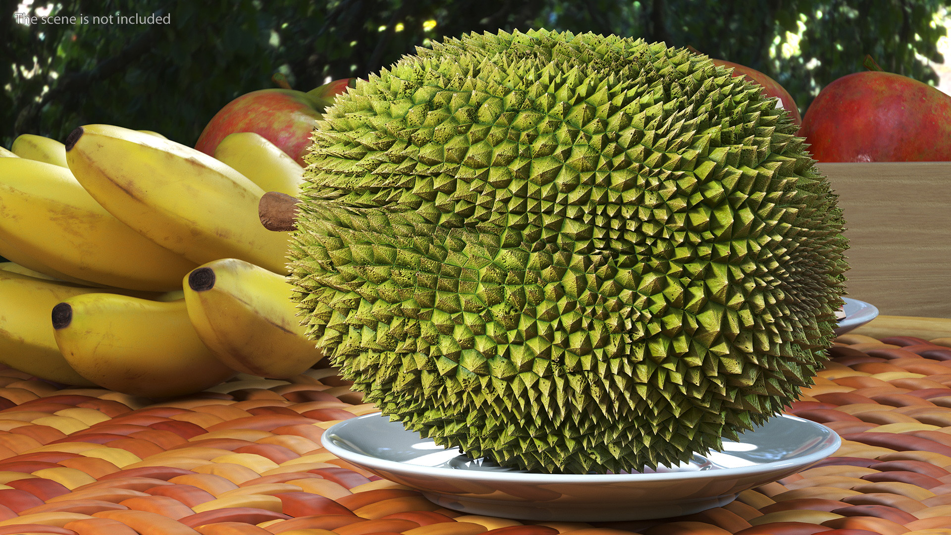 Ripe Durian Fruit 3D