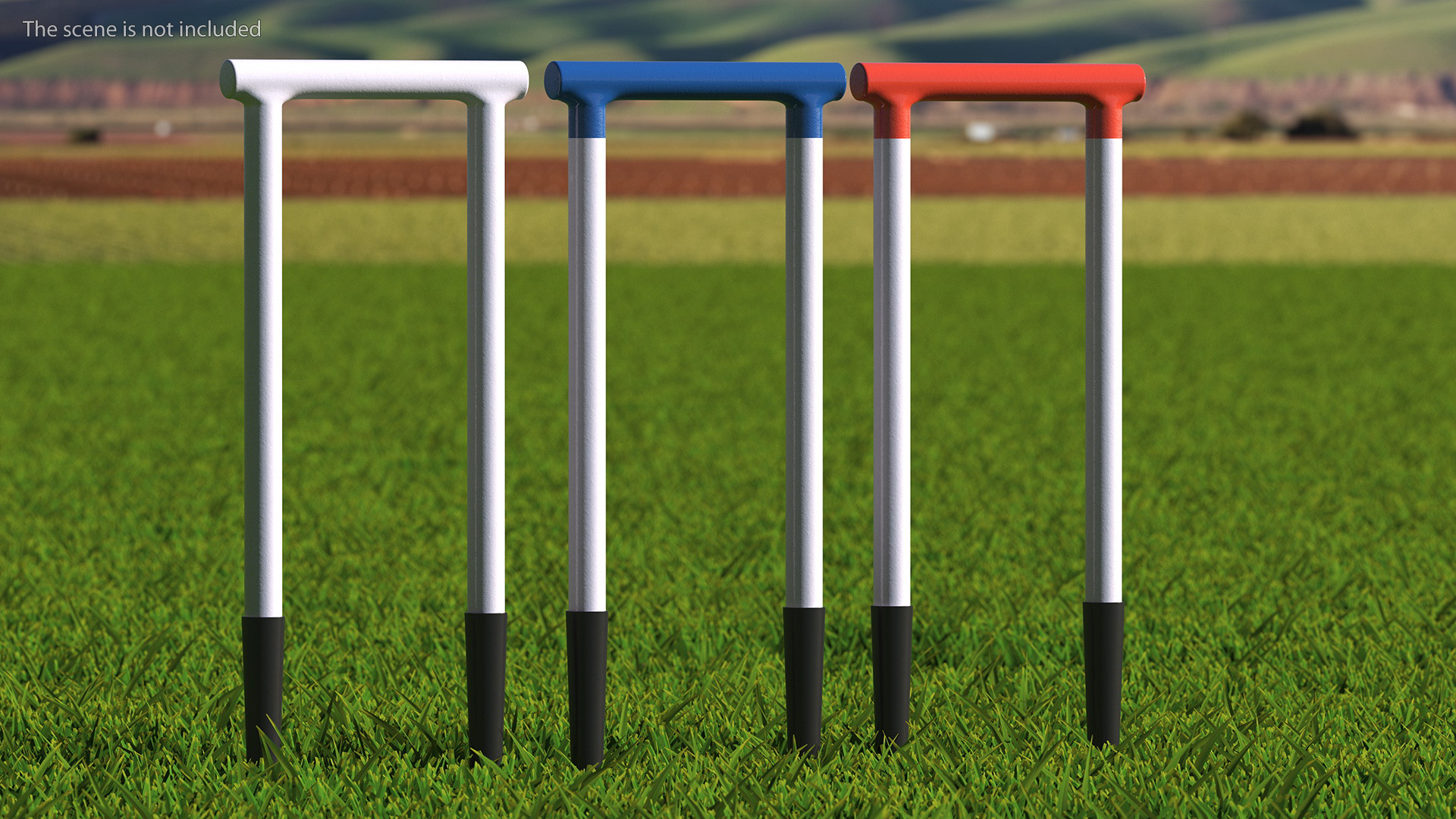 3D Croquet Set