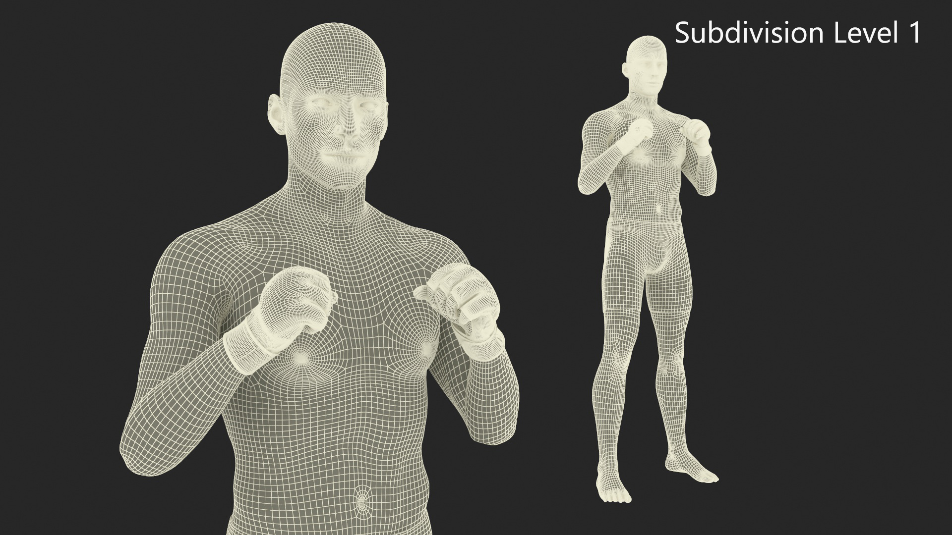 3D Fighter UFC MMA in Combat Stance Sweaty Fur model