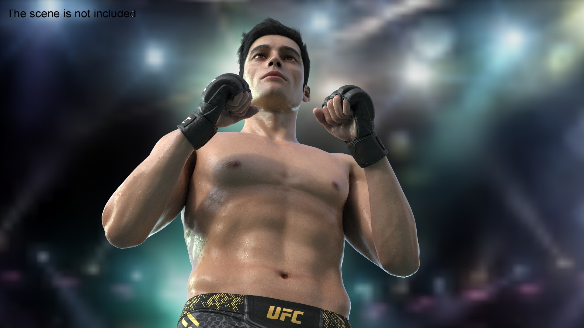 3D Fighter UFC MMA in Combat Stance Sweaty Fur model