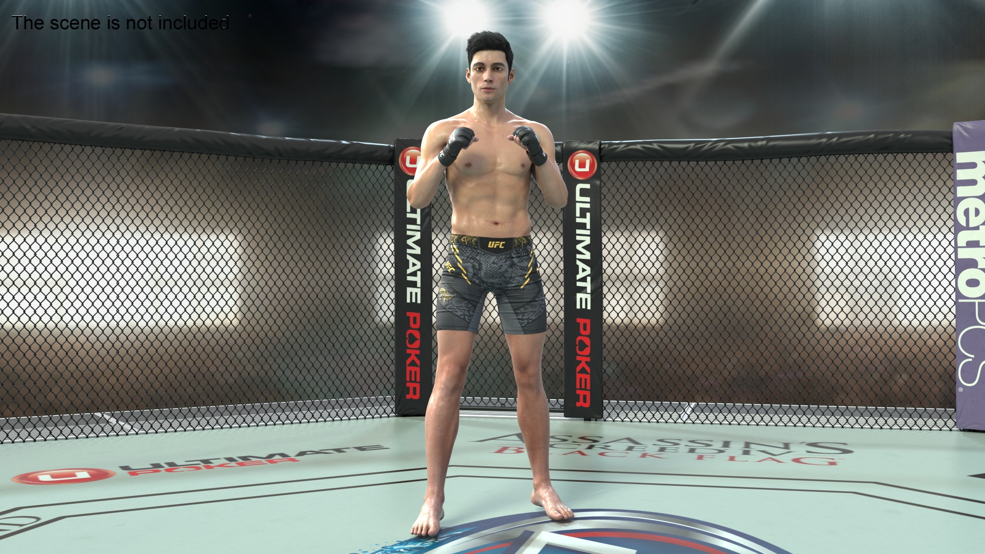 3D Fighter UFC MMA in Combat Stance Sweaty Fur model