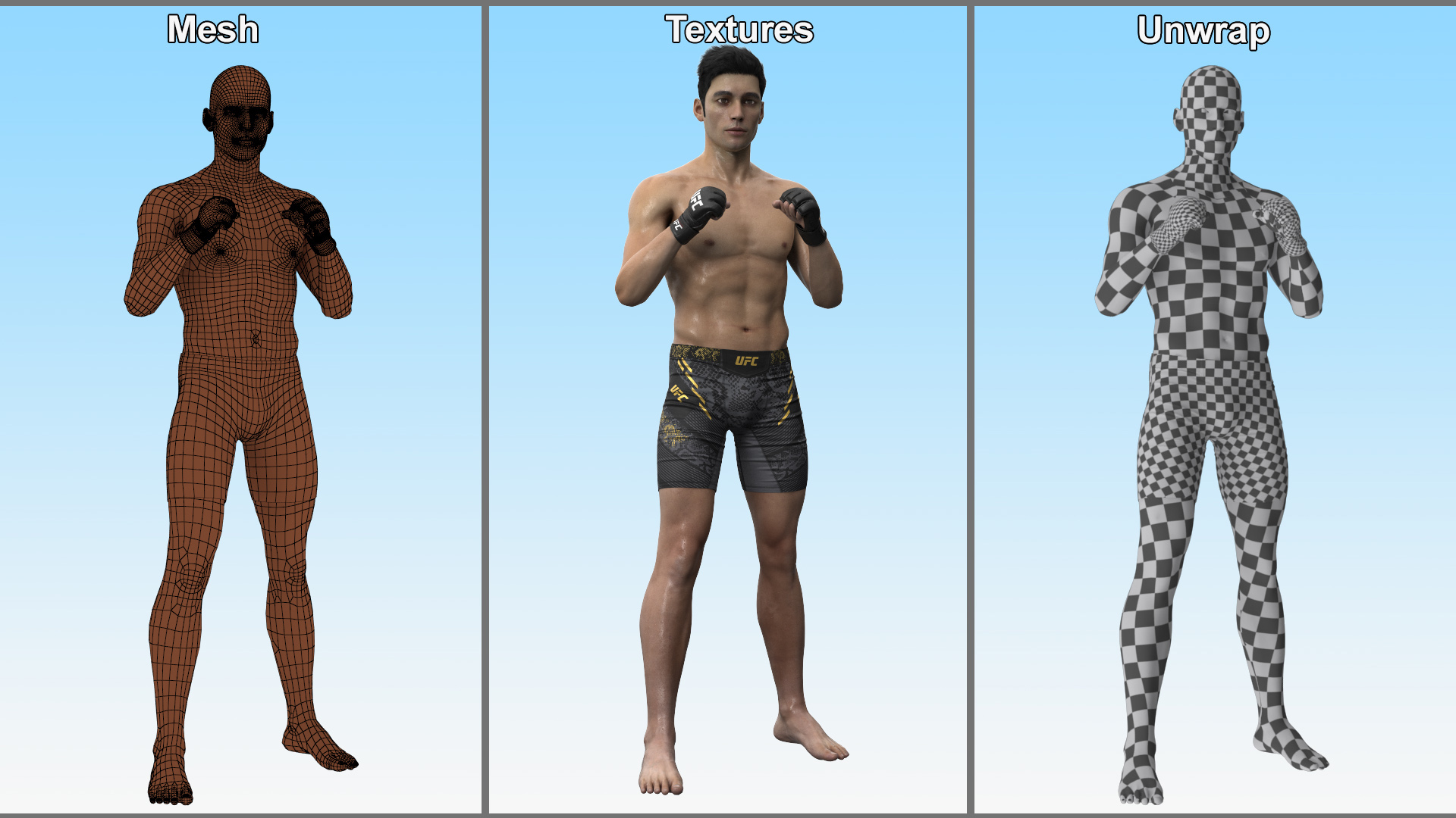 3D Fighter UFC MMA in Combat Stance Sweaty Fur model