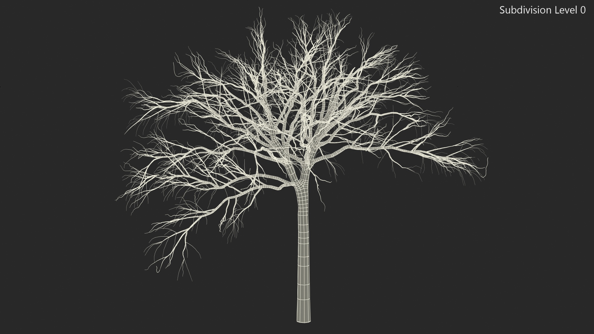 3D Naked Small Tree