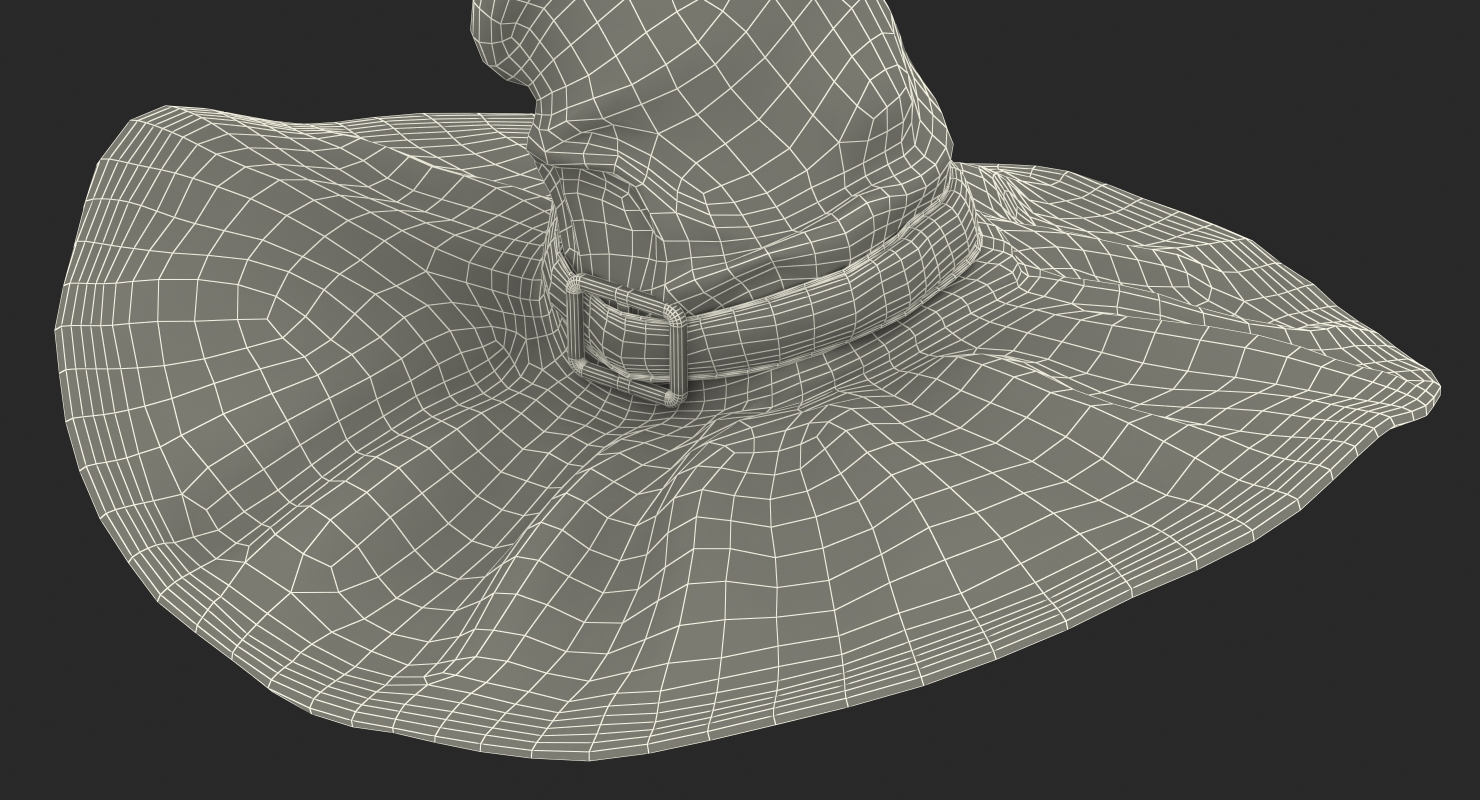 3D Old Witch Hat model