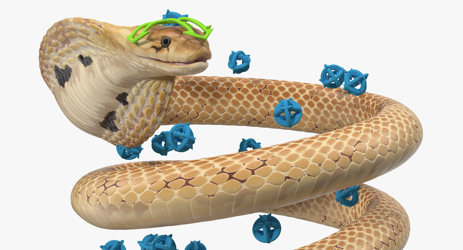 3D Light Skin Cobra Rigged model