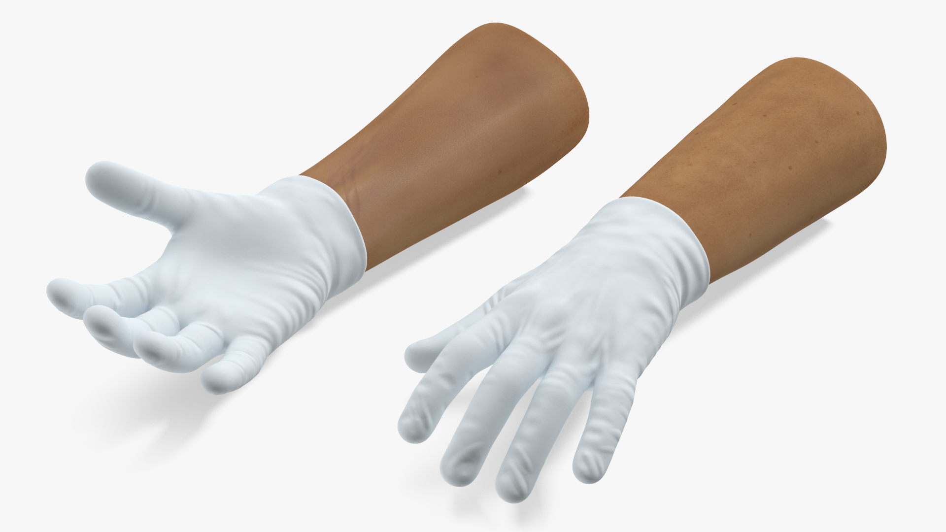 Hands Wearing Medical Gloves White 3D model