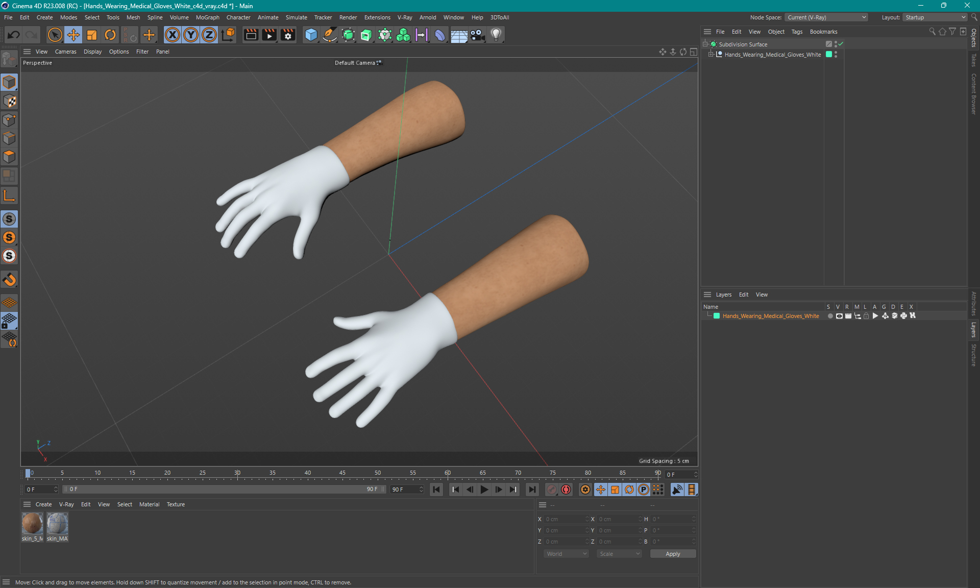 Hands Wearing Medical Gloves White 3D model