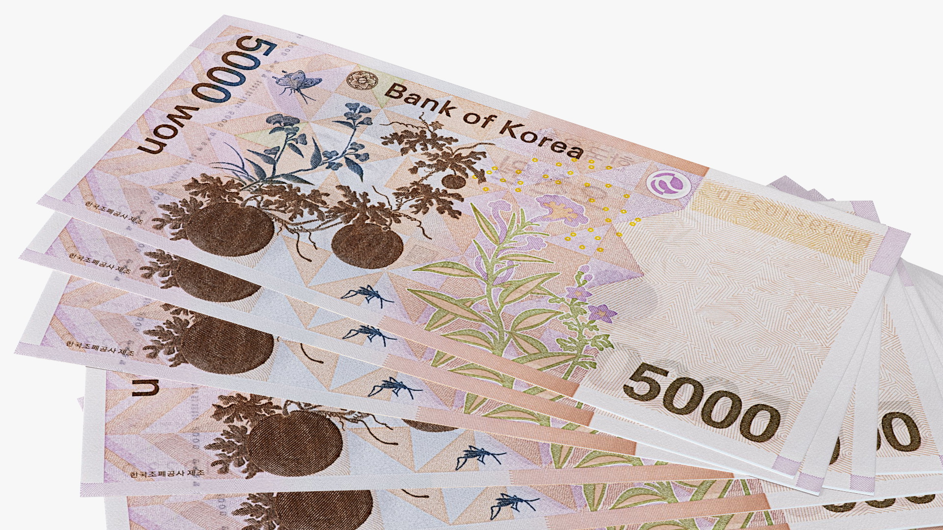 Fan Shaped South Korean 5000 Won Banknotes 3D