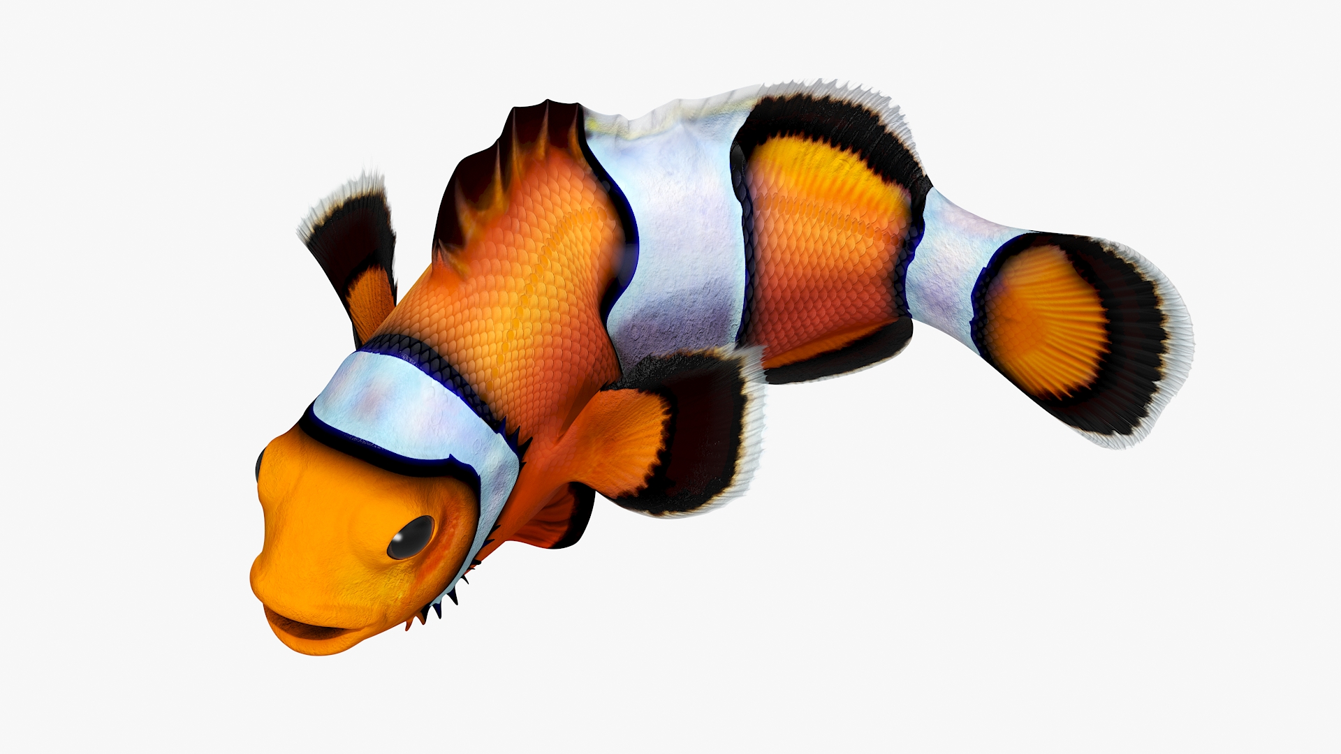 3D model Realistic Clownfish Rigged for Cinema 4D