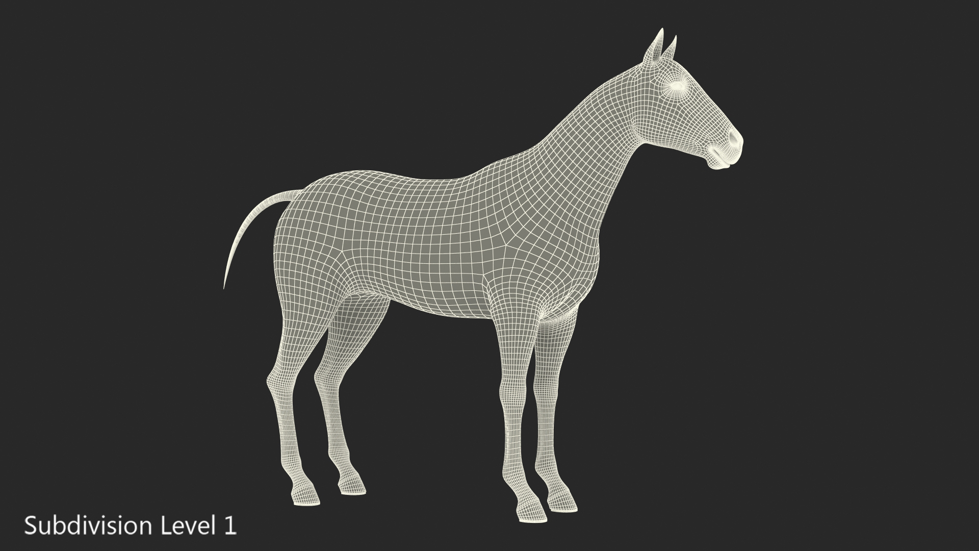 Bay Horse 3D model