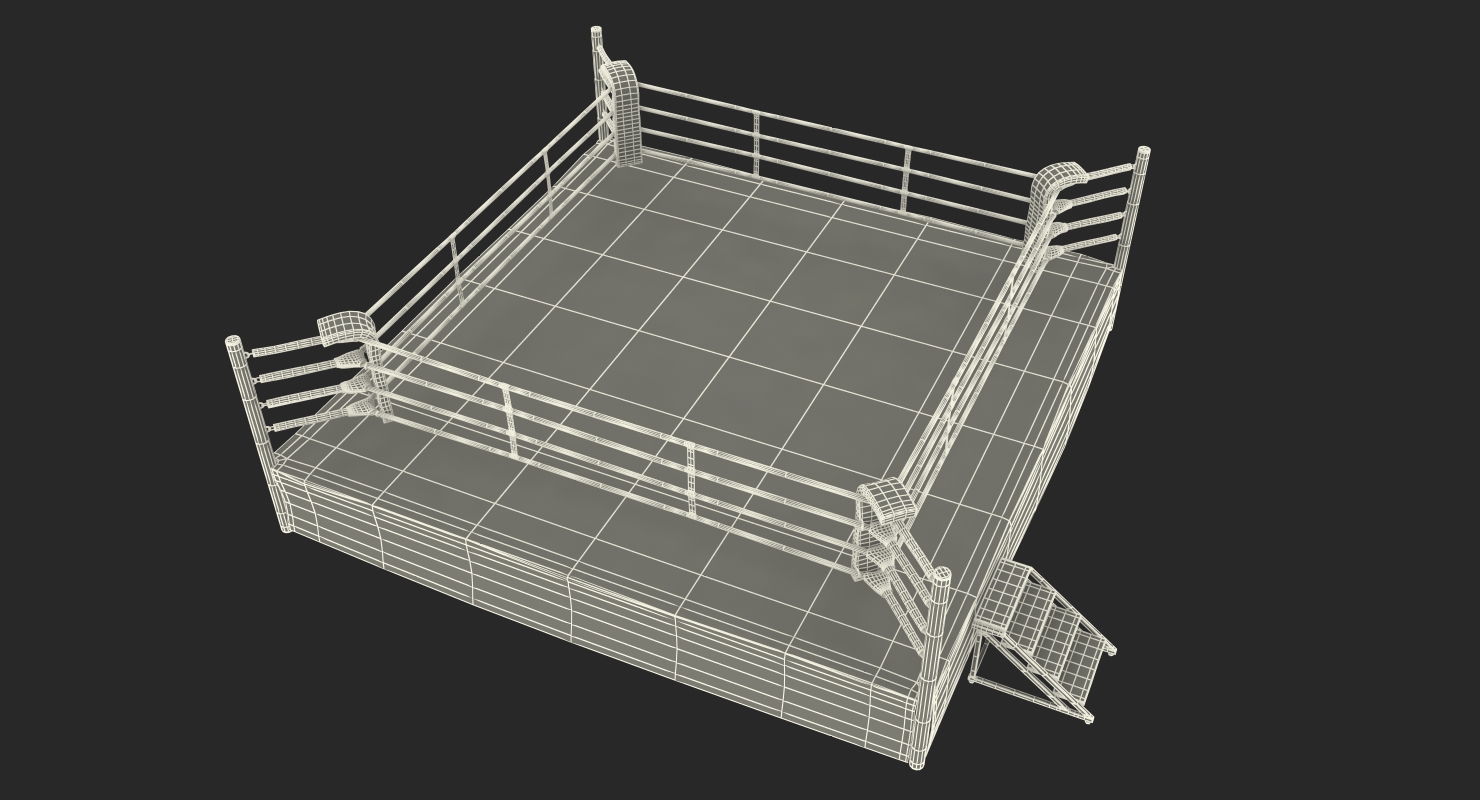 3D Boxing Ring