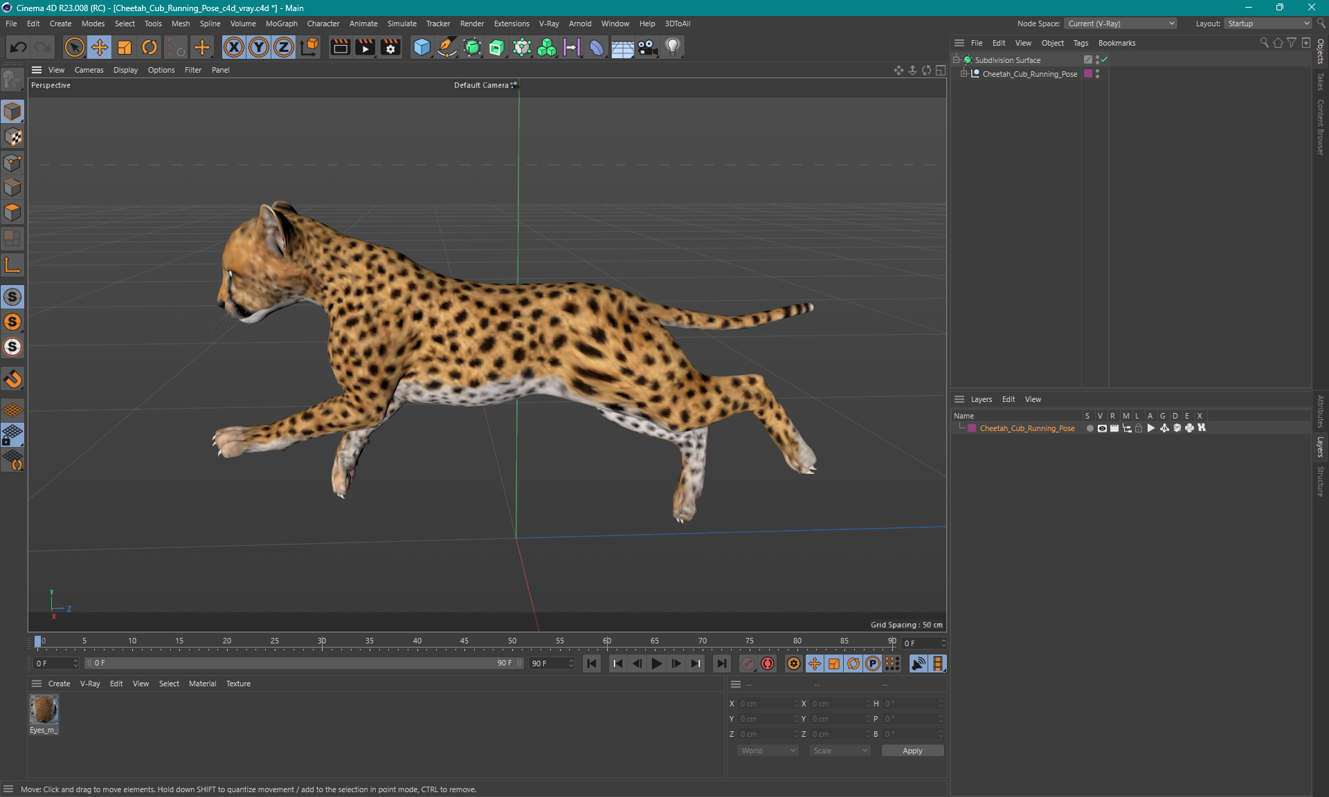 Cheetah Cub Running Pose 3D model